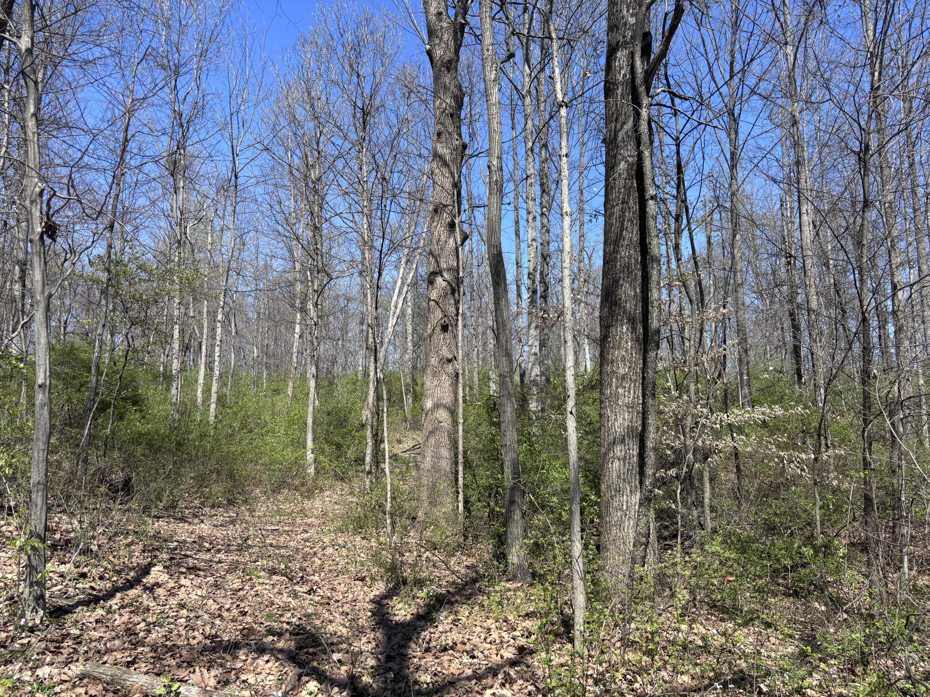 121 State Property Photo 39