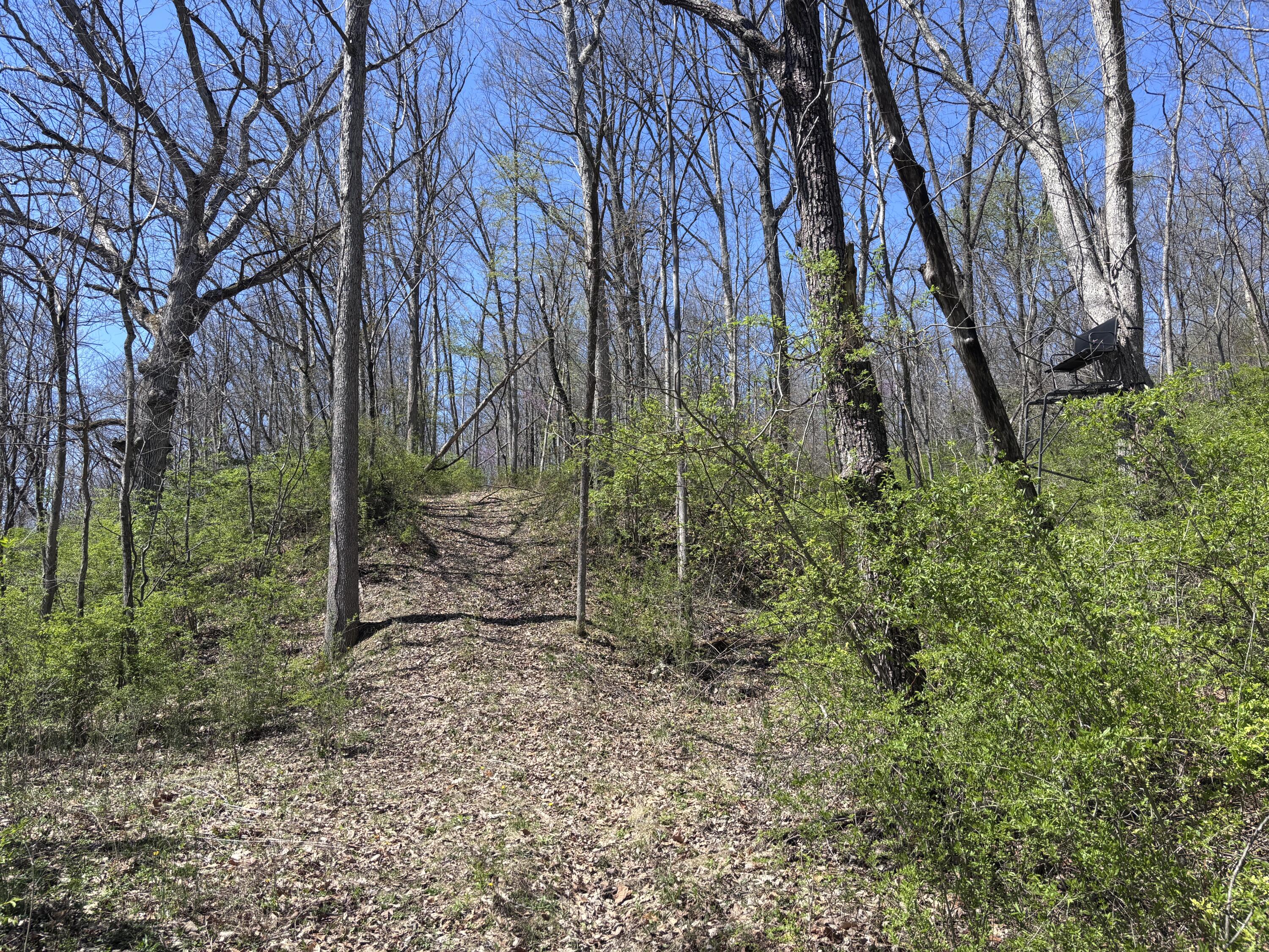 121 State Property Photo 40