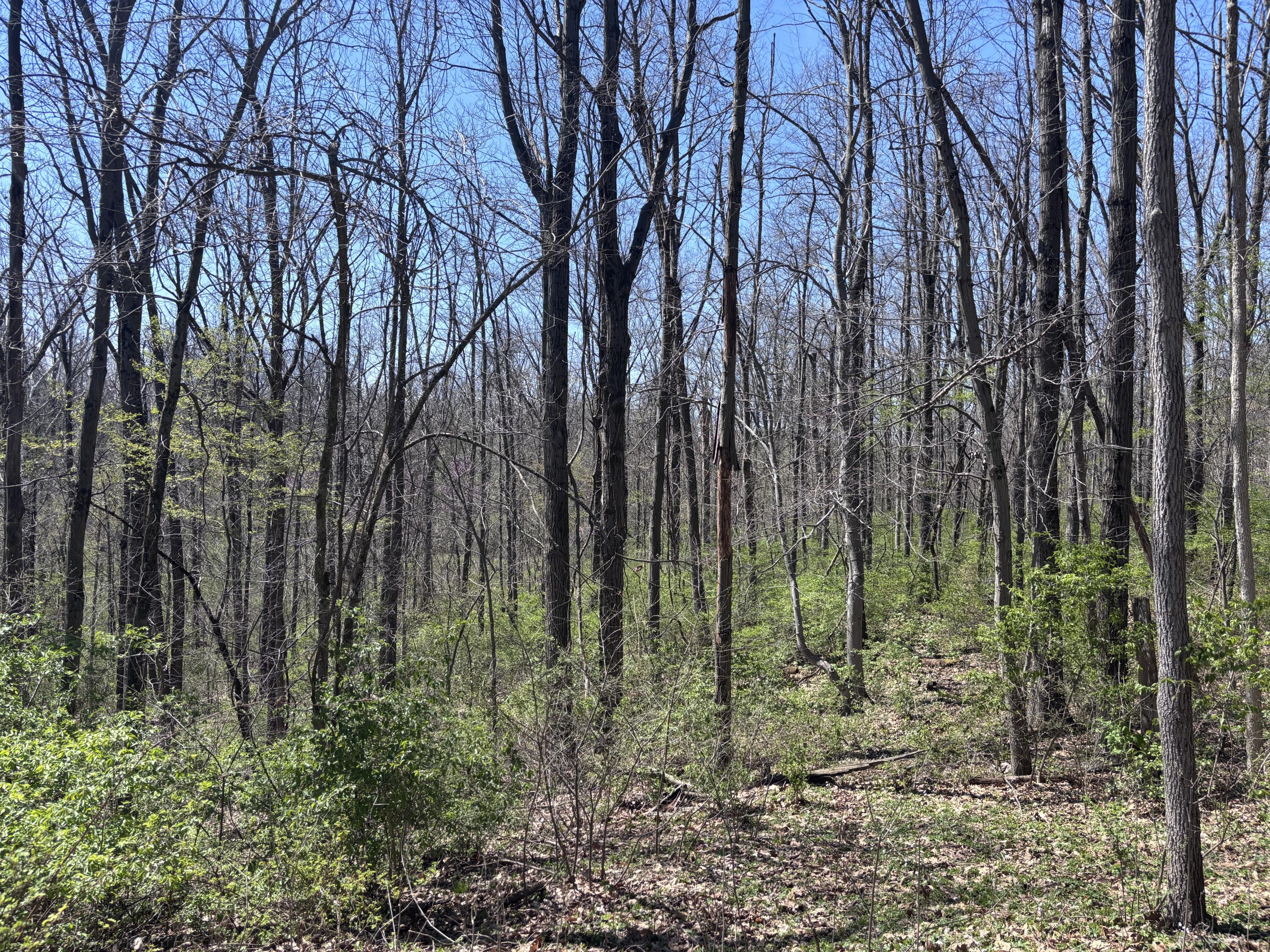 121 State Property Photo 41