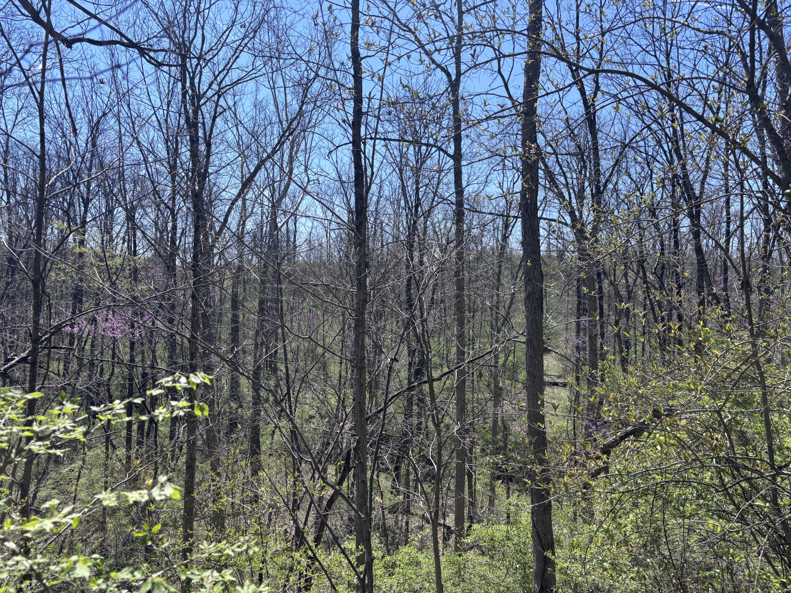 121 State Property Photo 42