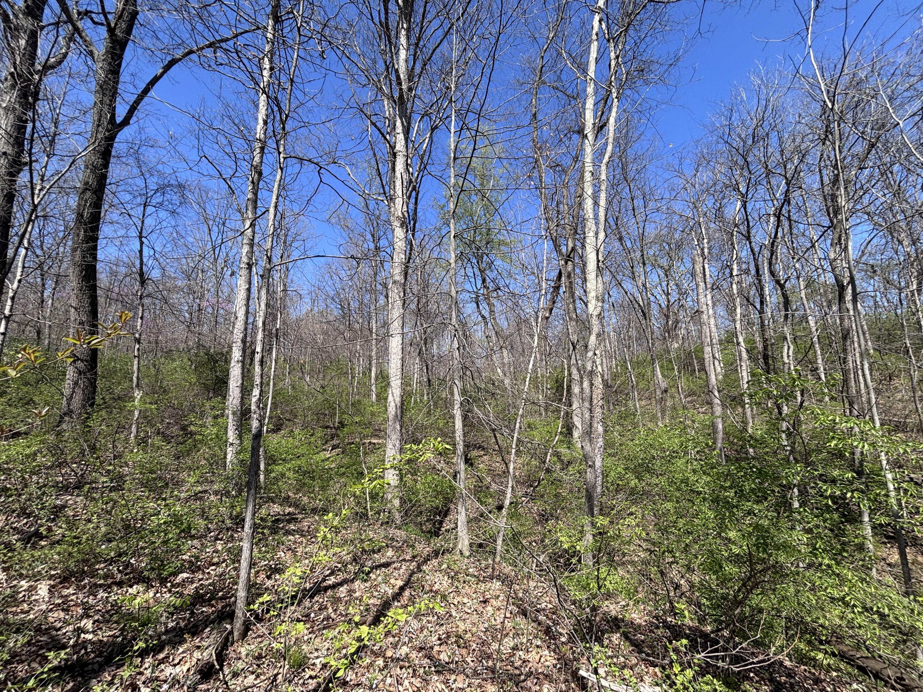121 State Property Photo 43