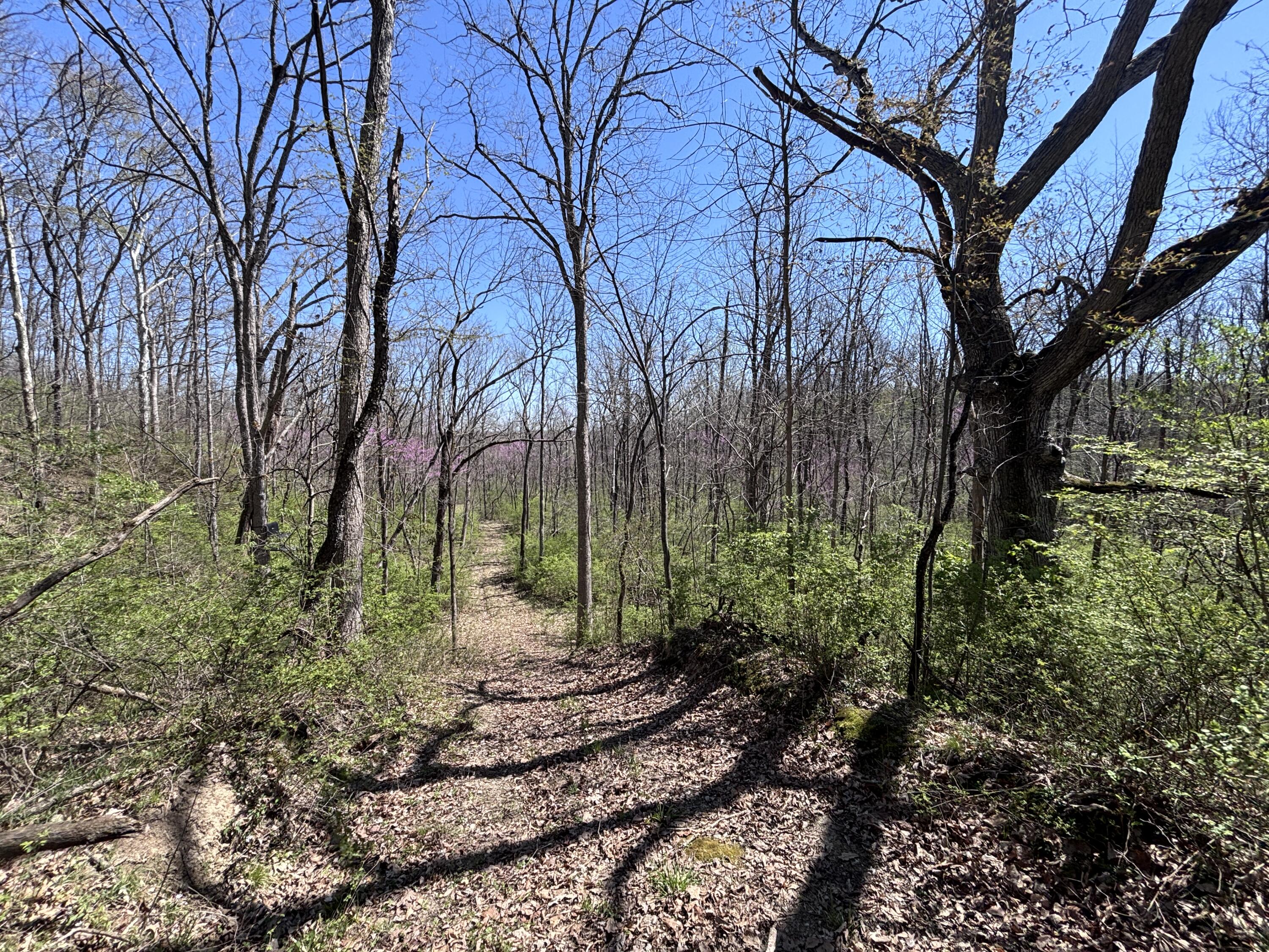 121 State Property Photo 44