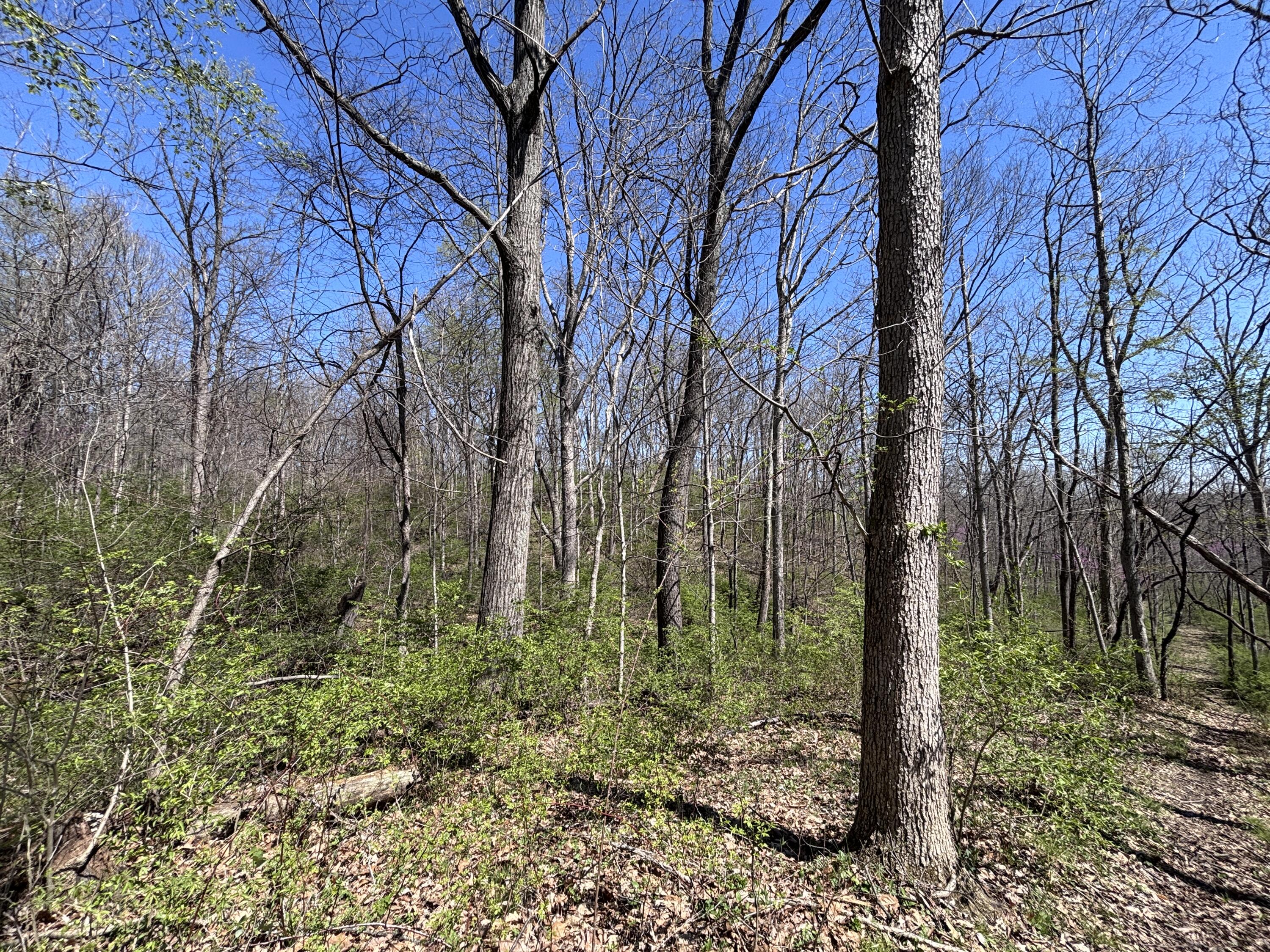 121 State Property Photo 45