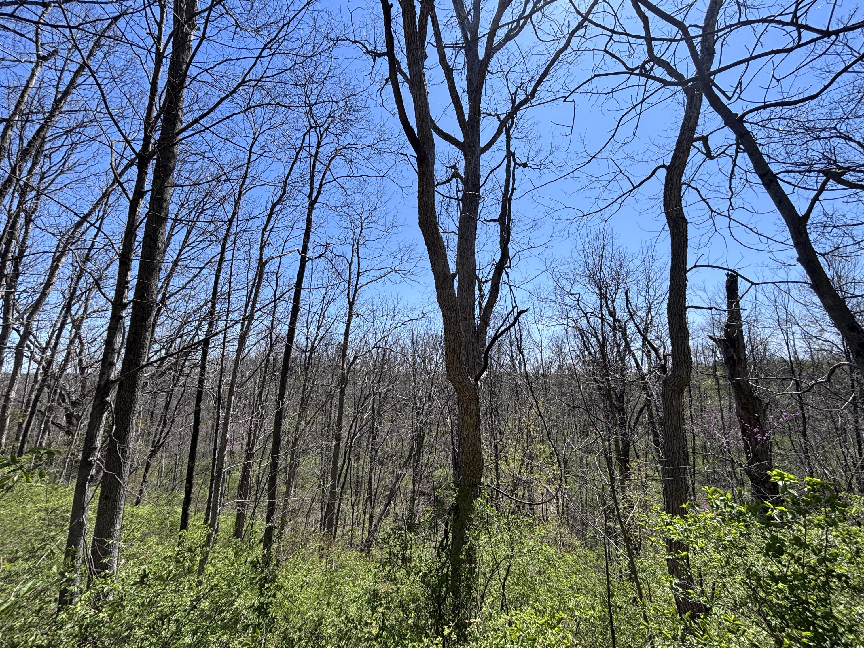 121 State Property Photo 46