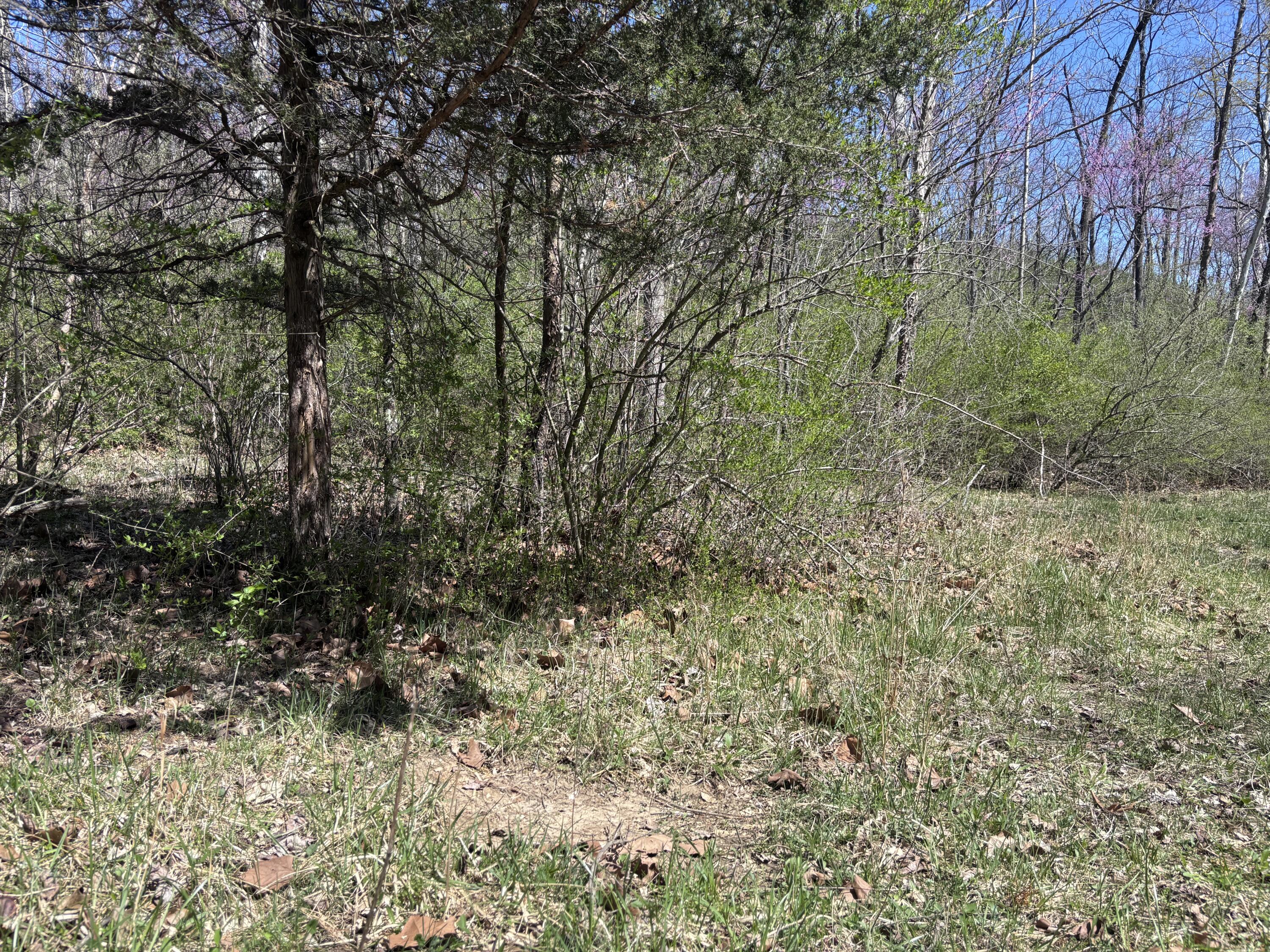 121 State Property Photo 47