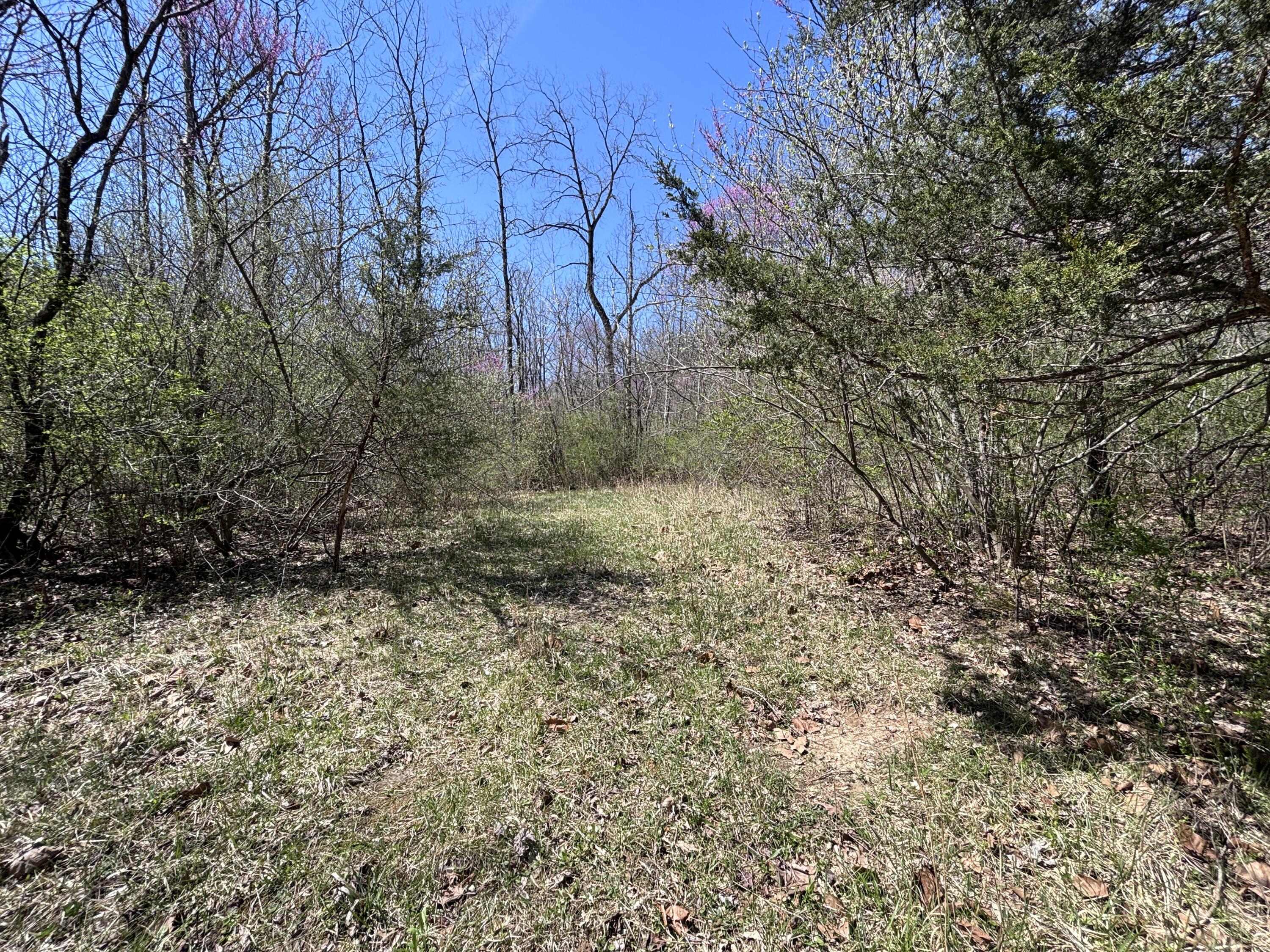 121 State Property Photo 48
