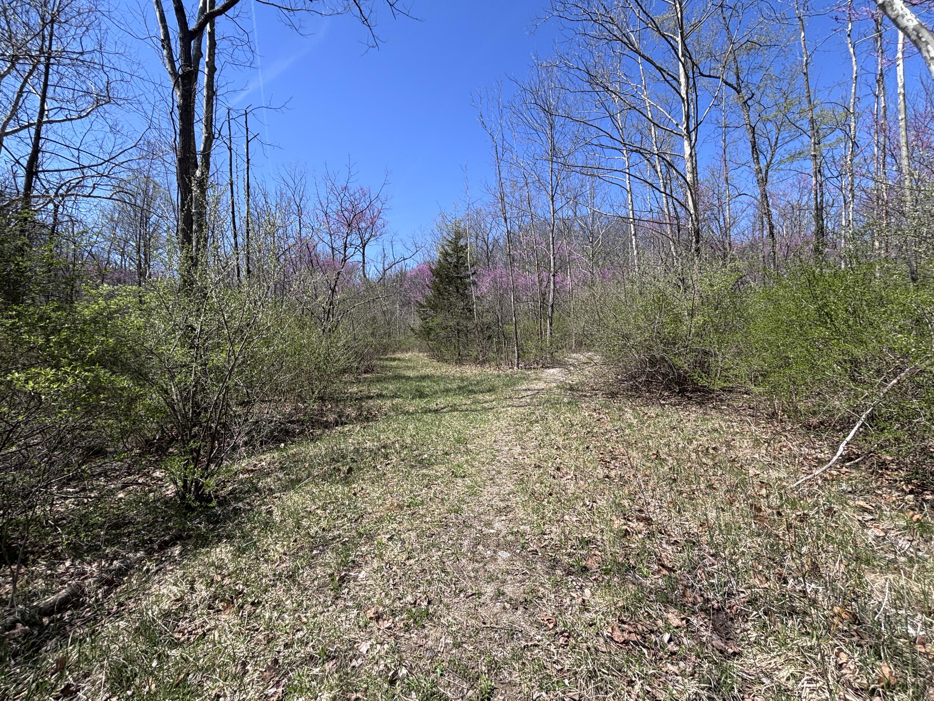 121 State Property Photo 53