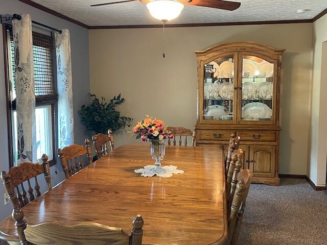 14444 Charm Hill Drive Property Photo 10