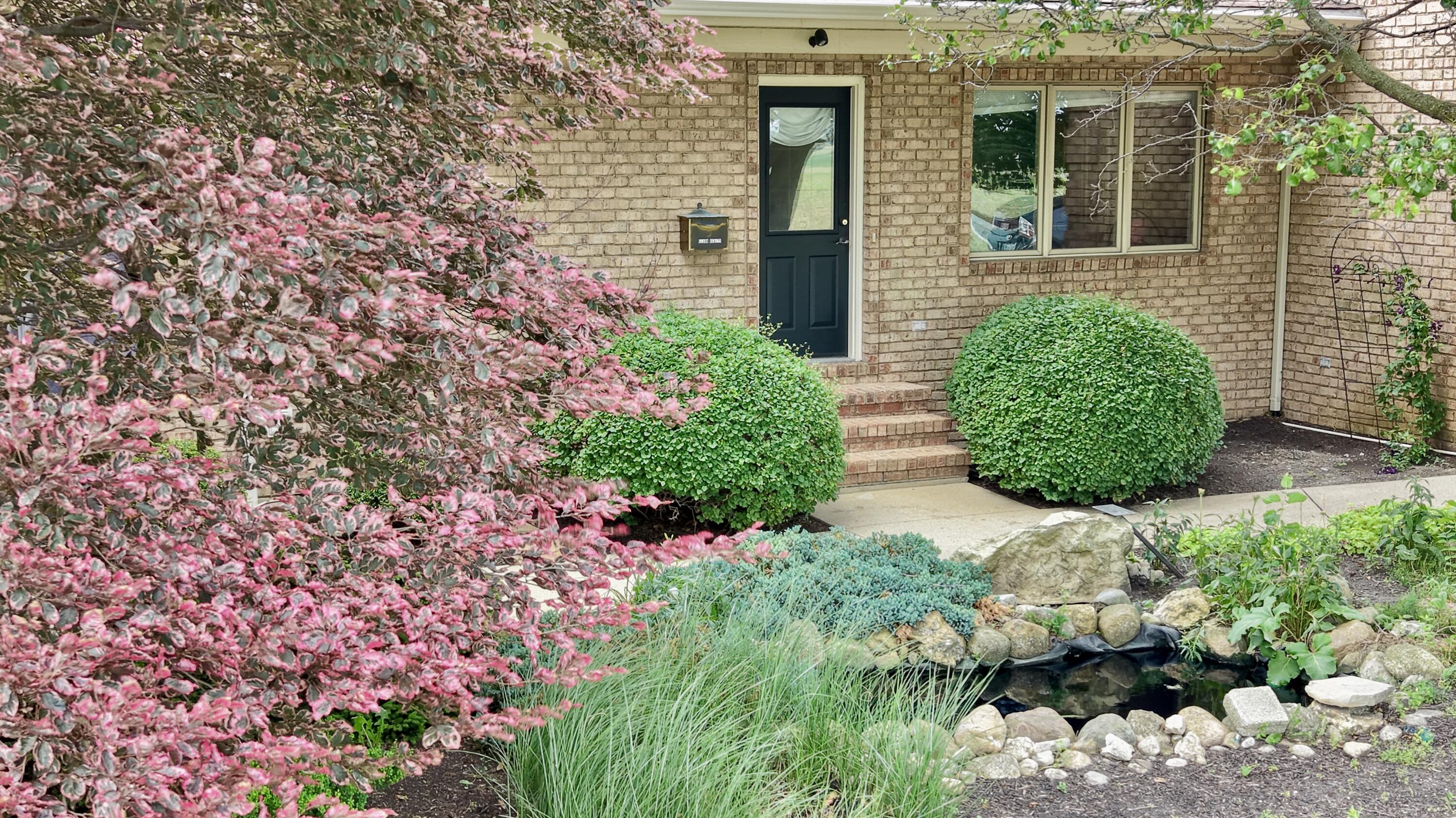 10770 Scott Road Property Photo 68