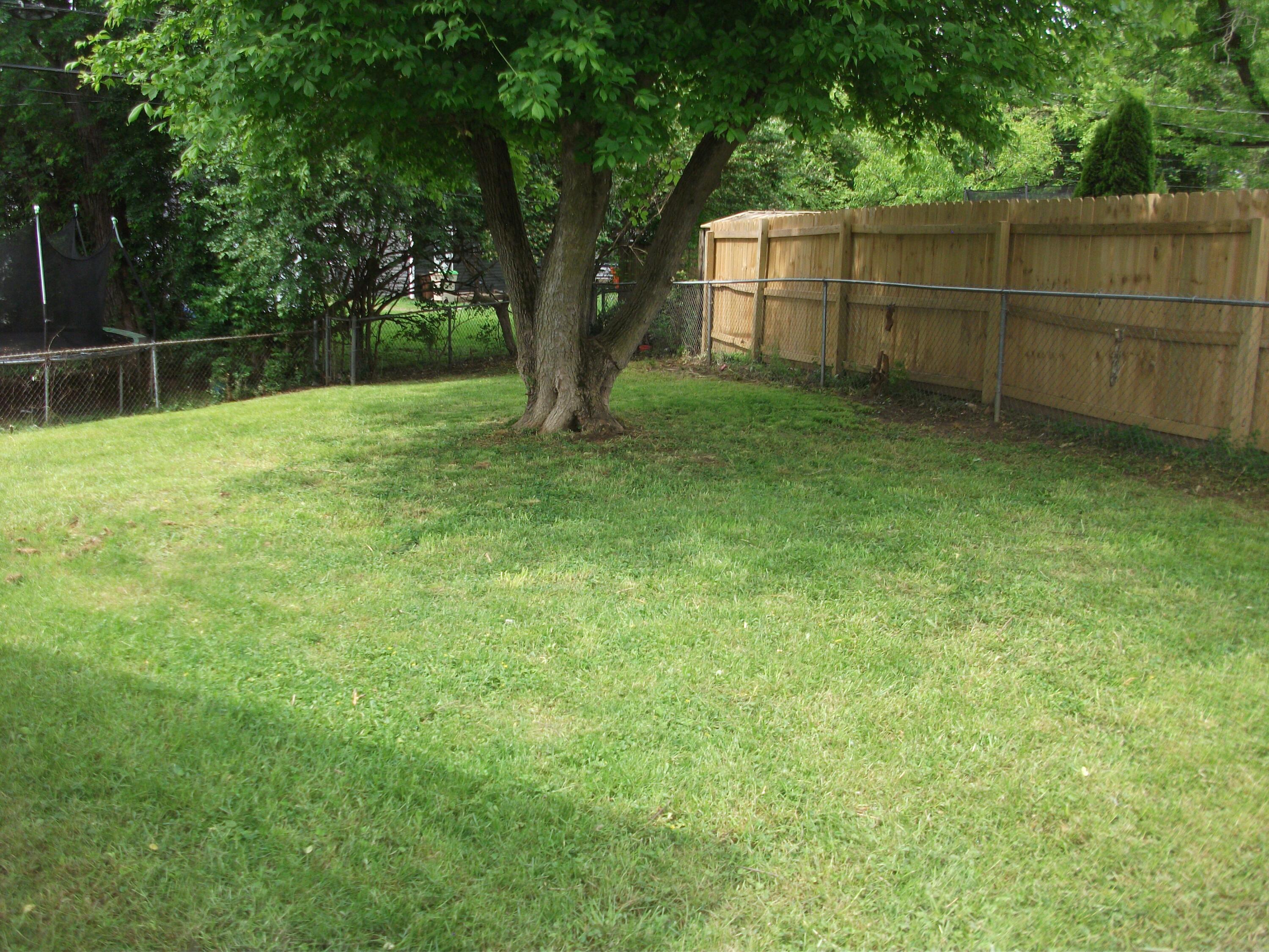 1611 Springmont Avenue Property Photo 5