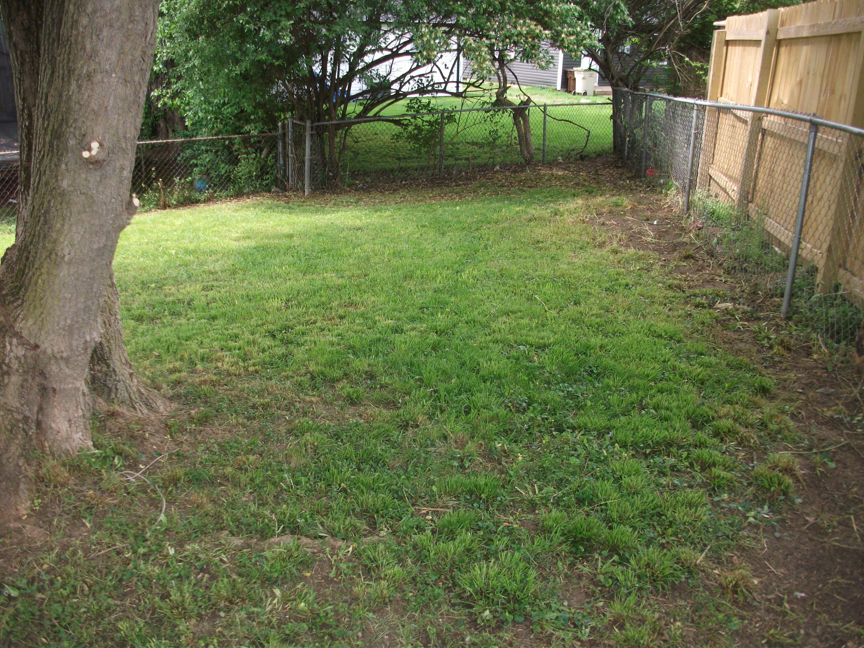 1611 Springmont Avenue Property Photo 6