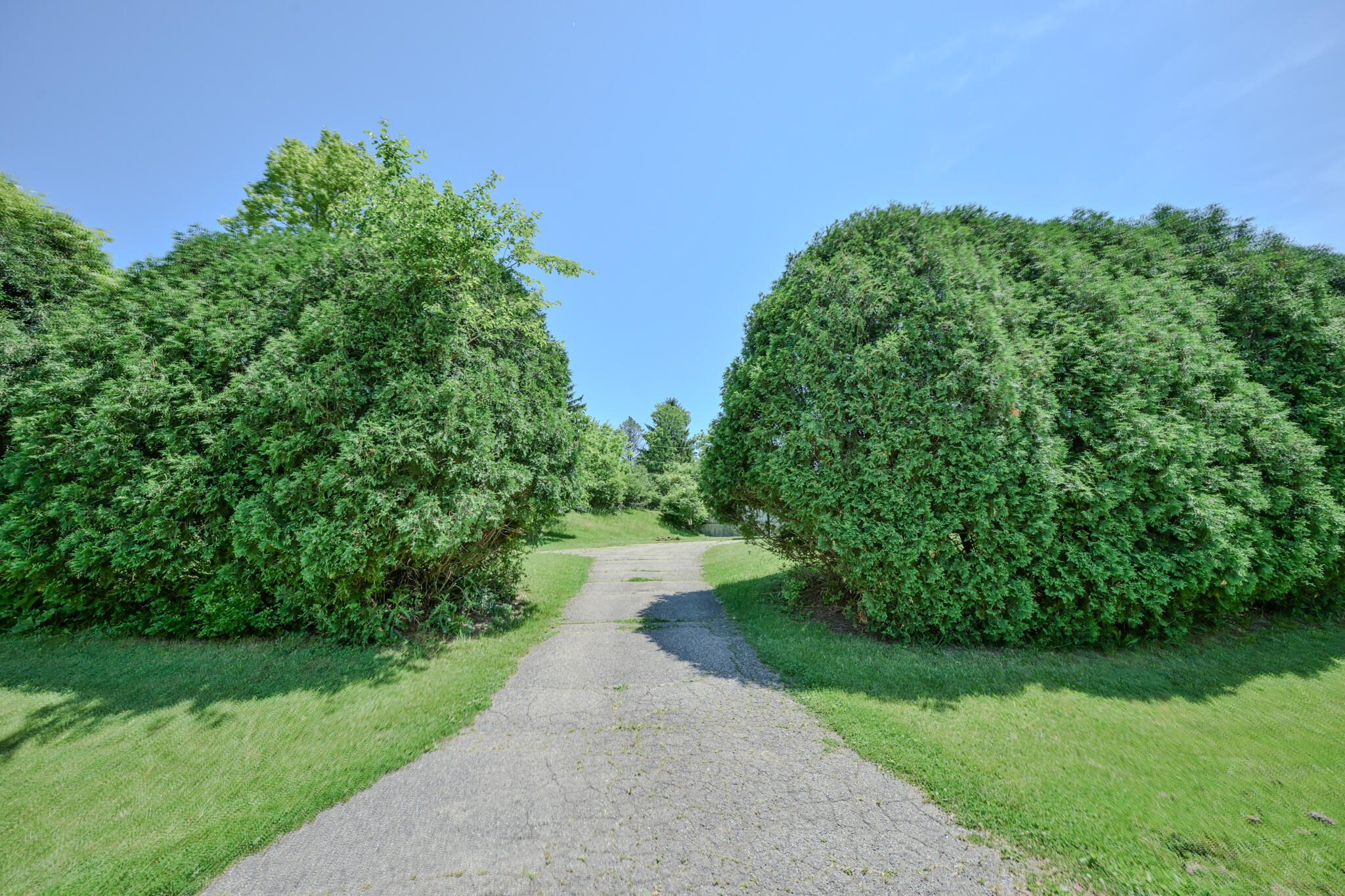 2020 Winding Trail Property Photo 29