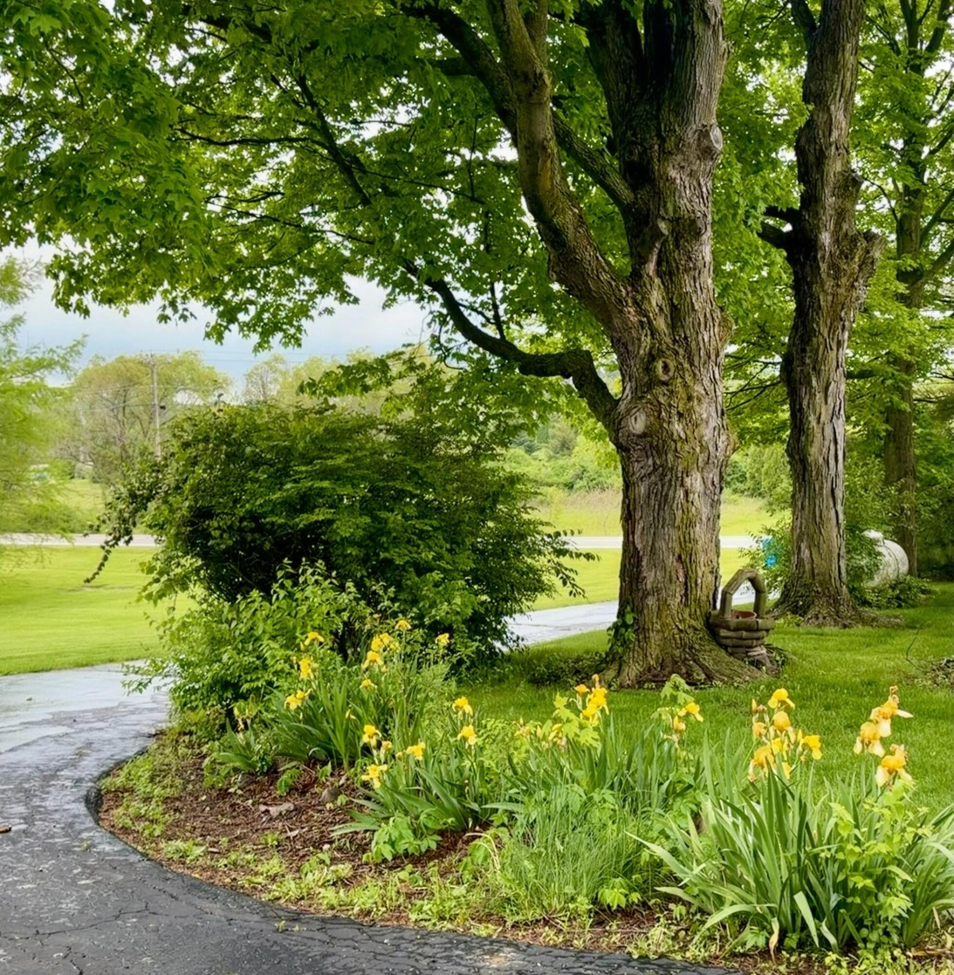 8911 State Route 161 Property Photo 4
