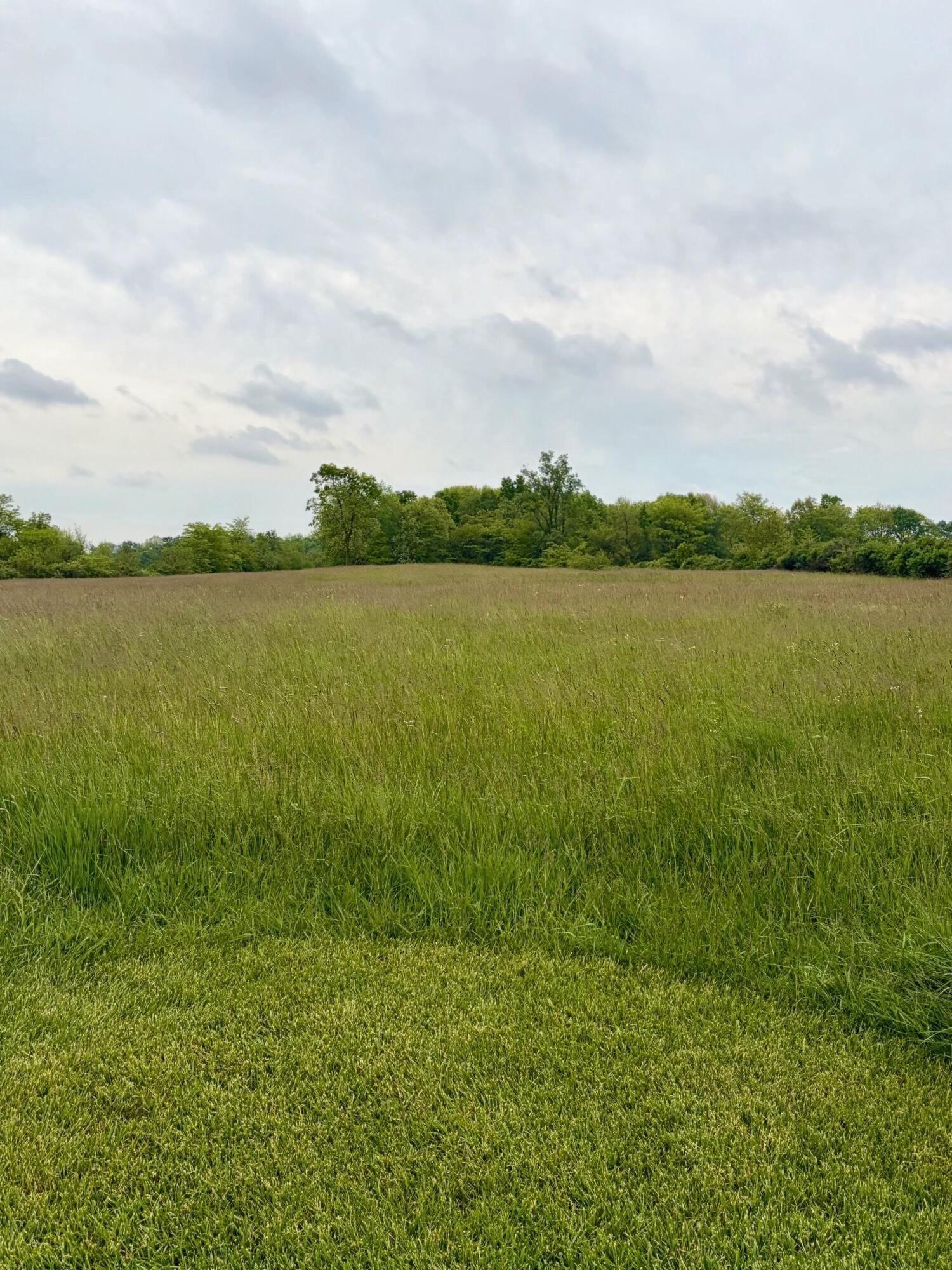 8911 State Route 161 Property Photo 6