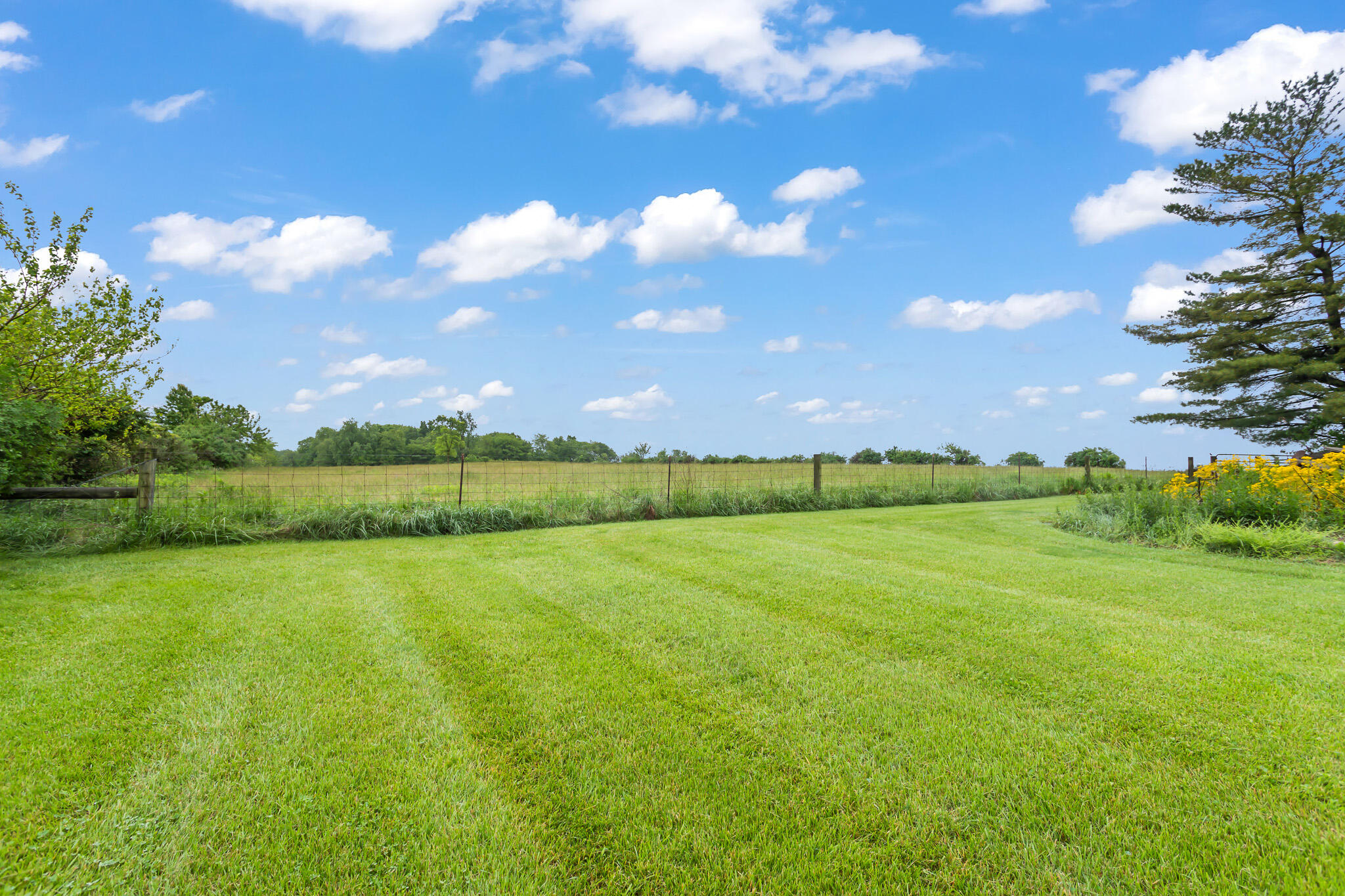 8911 State Route 161 Property Photo 50