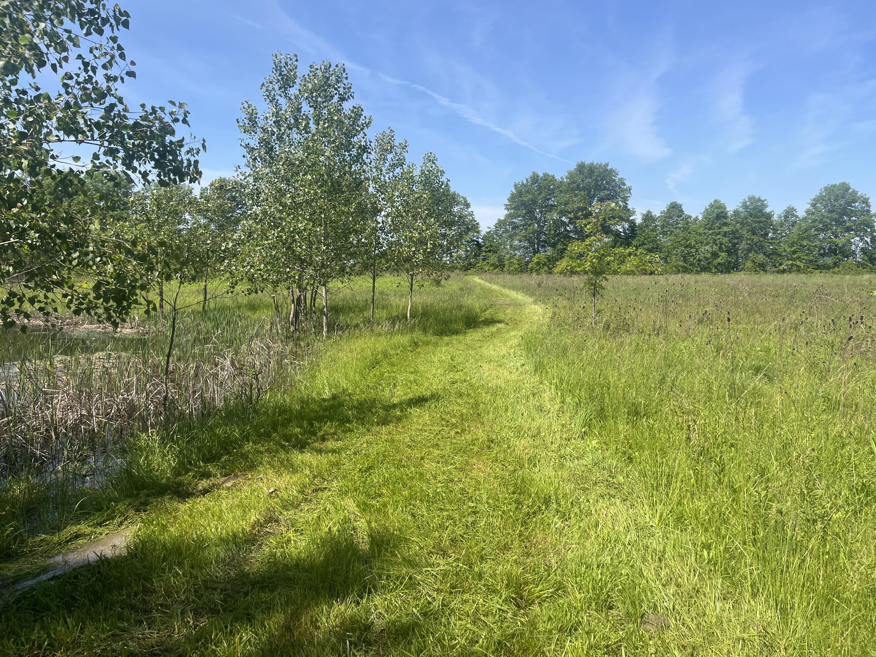 0 Boundary Road Property Photo 10