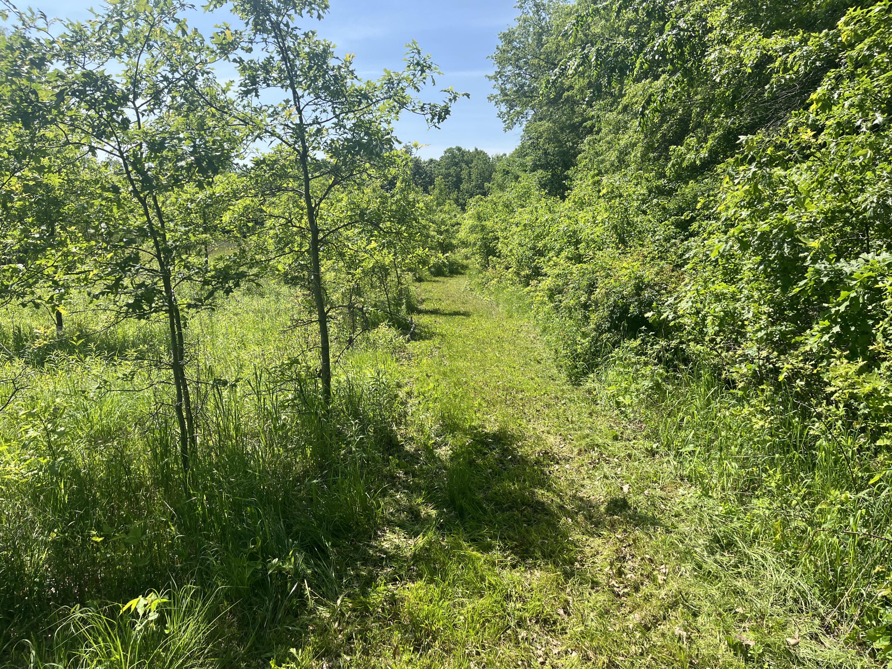 0 Boundary Road Property Photo 12