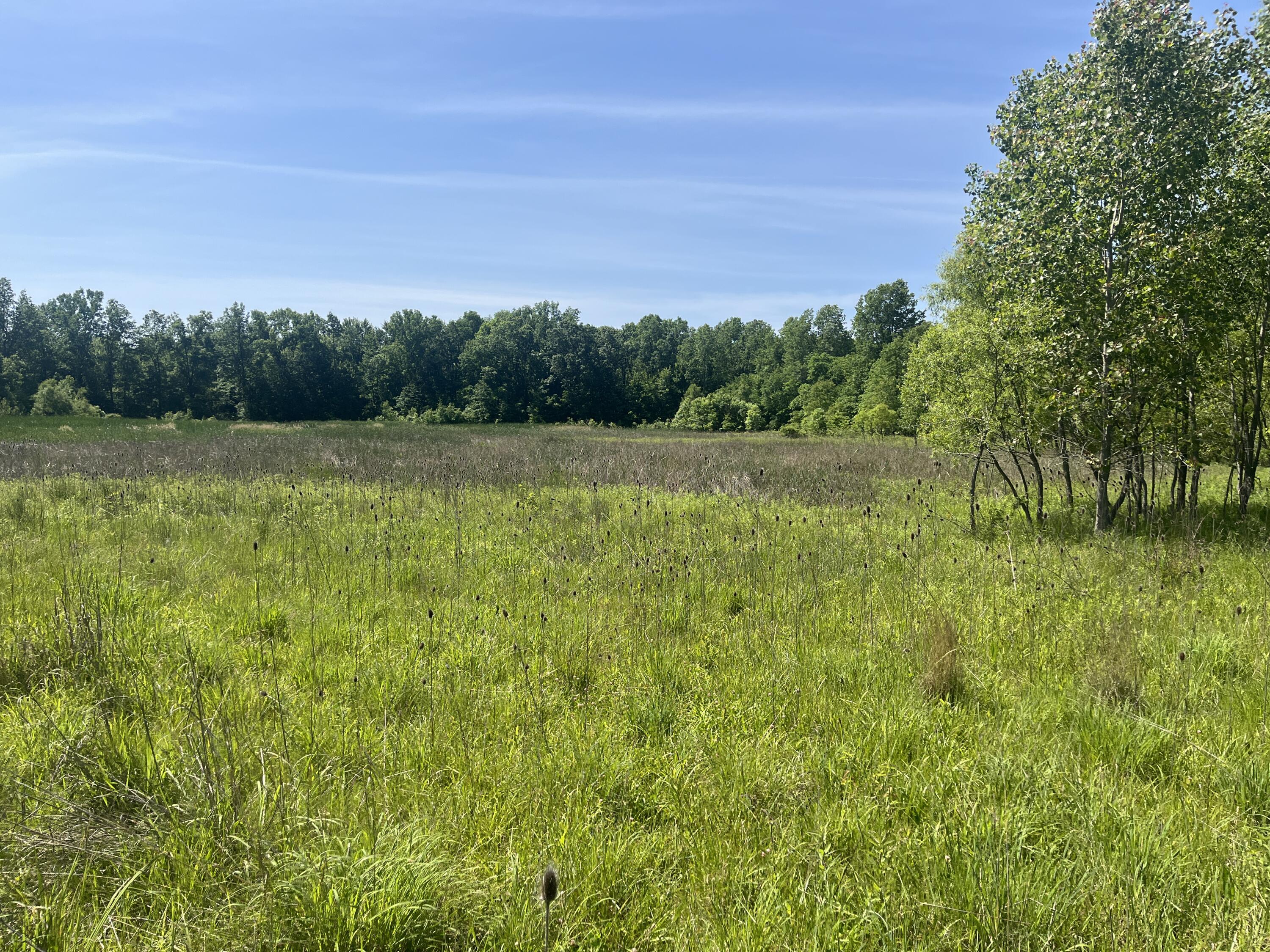0 Boundary Road Property Photo 13