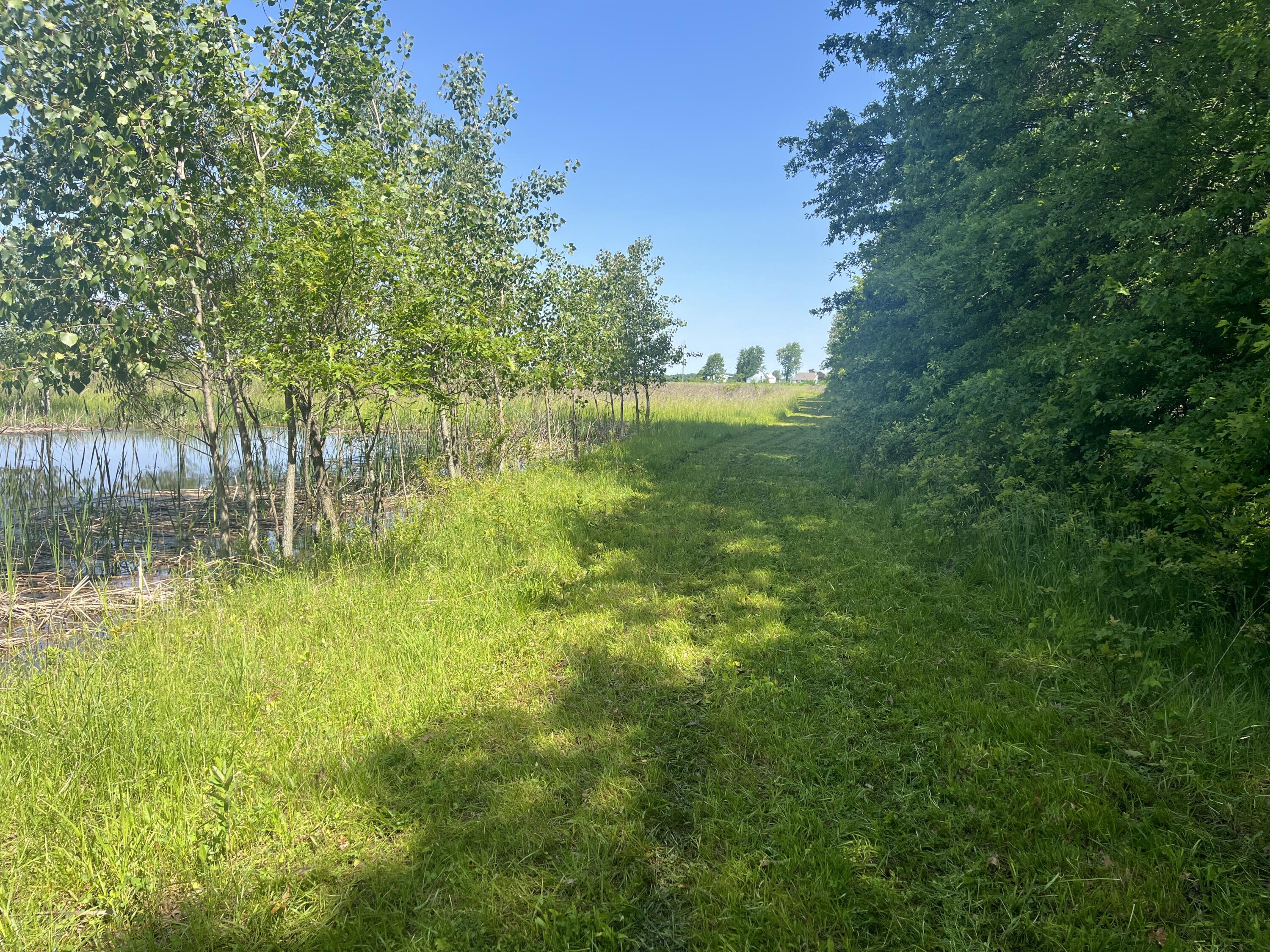 0 Boundary Road Property Photo 14