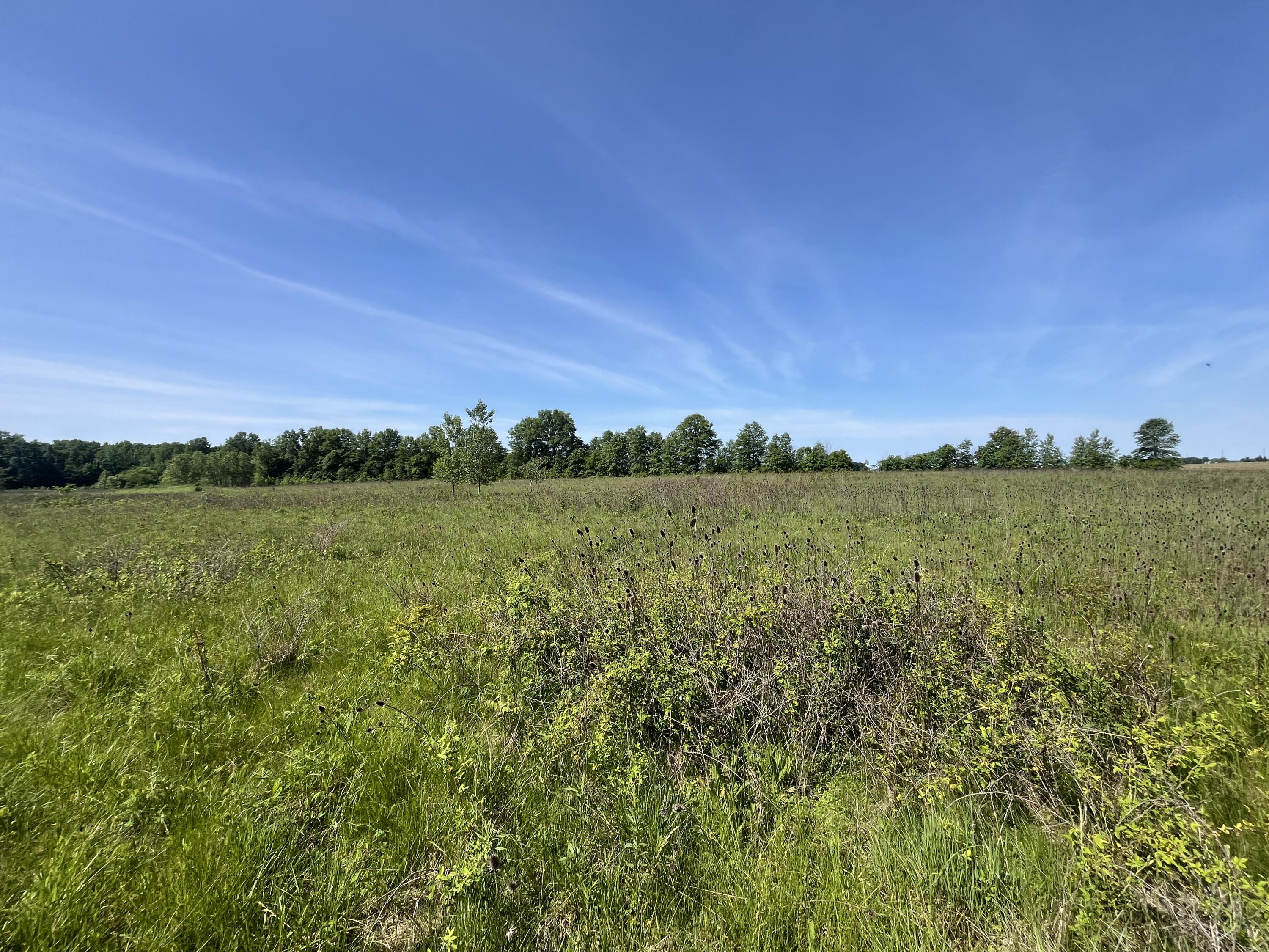 0 Boundary Road Property Photo 15