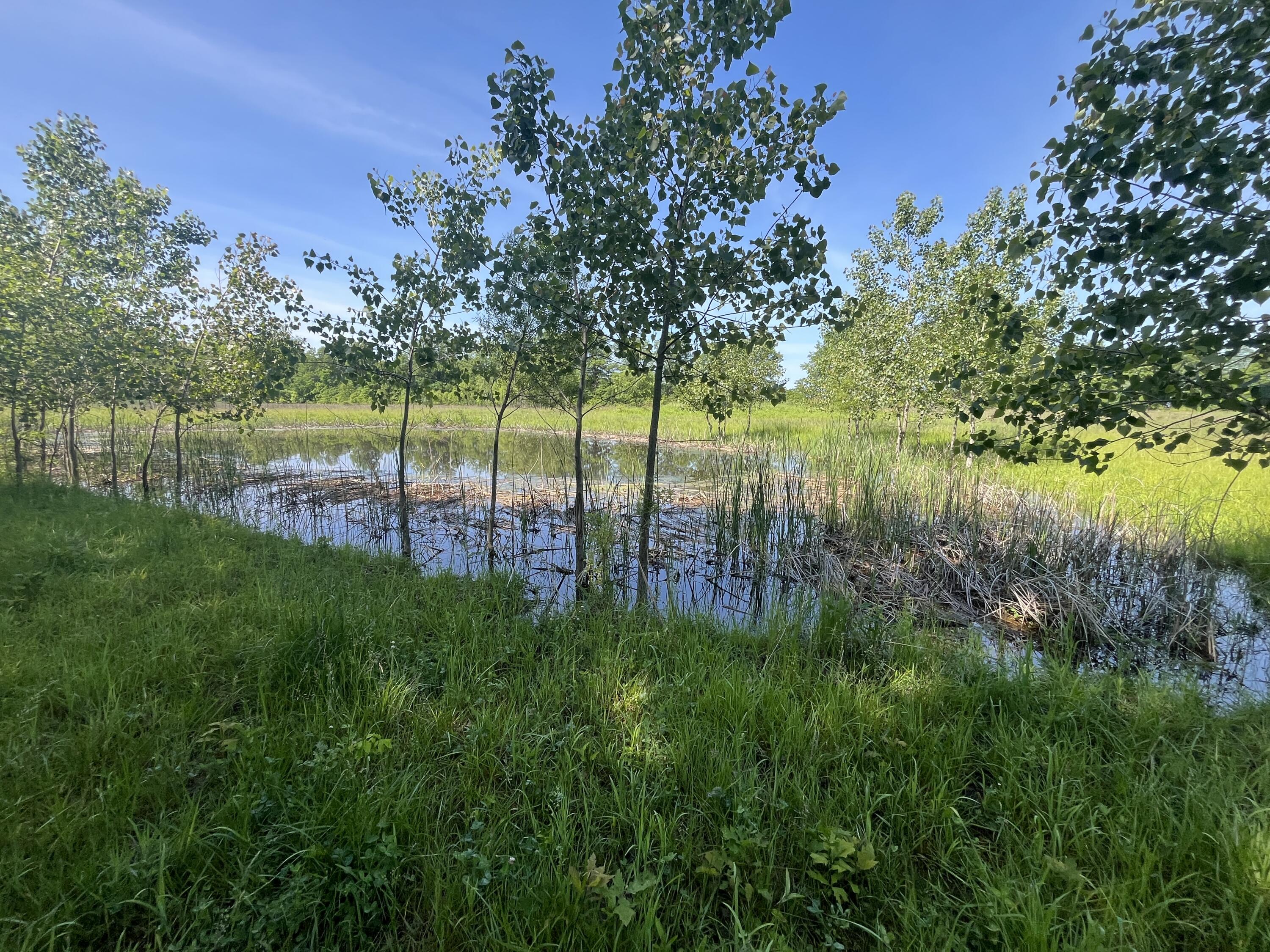 0 Boundary Road Property Photo 21