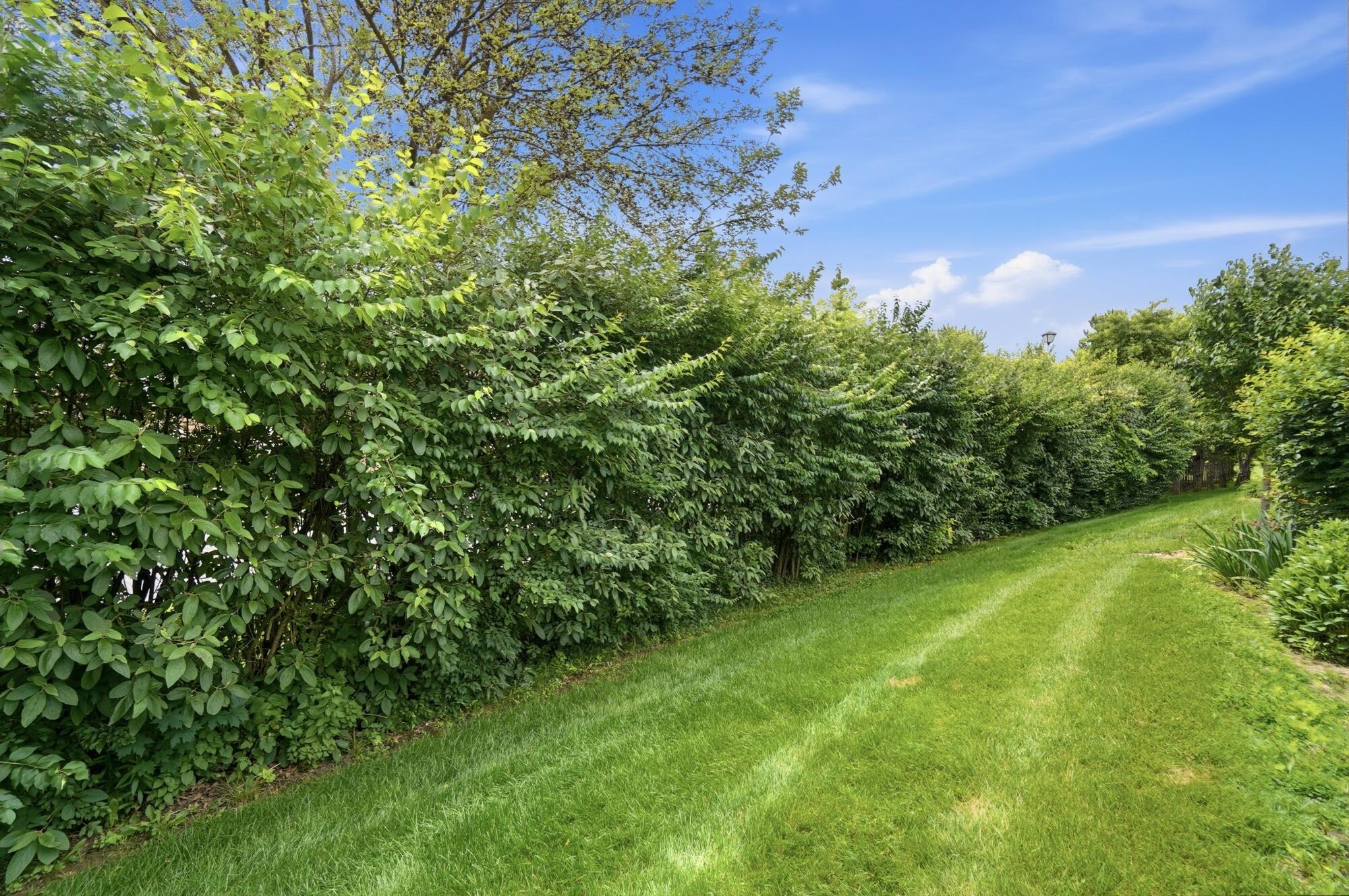 1912 Wedgewood Circle Property Photo 35