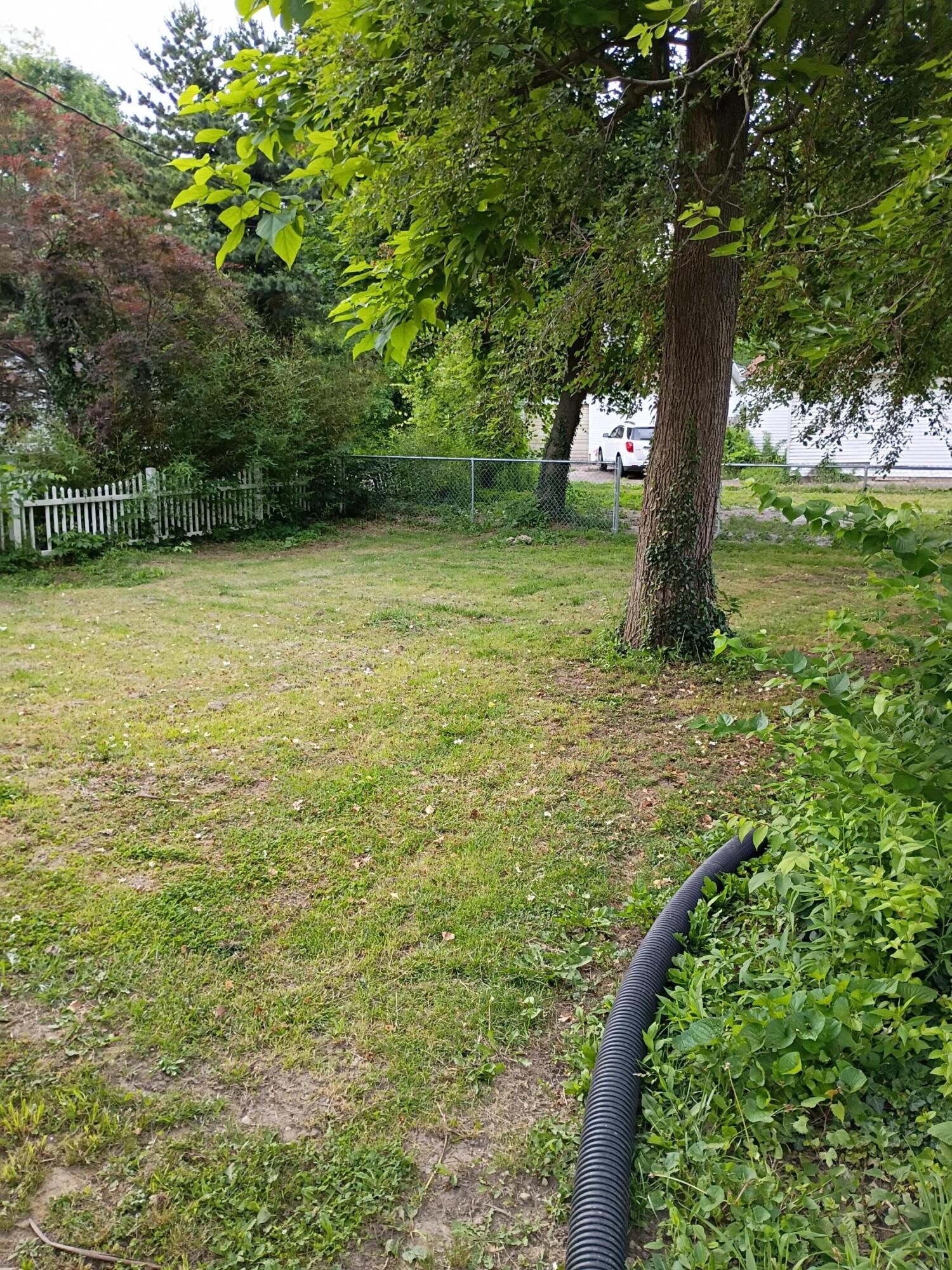 306-308 E Northern Avenue Property Photo 29