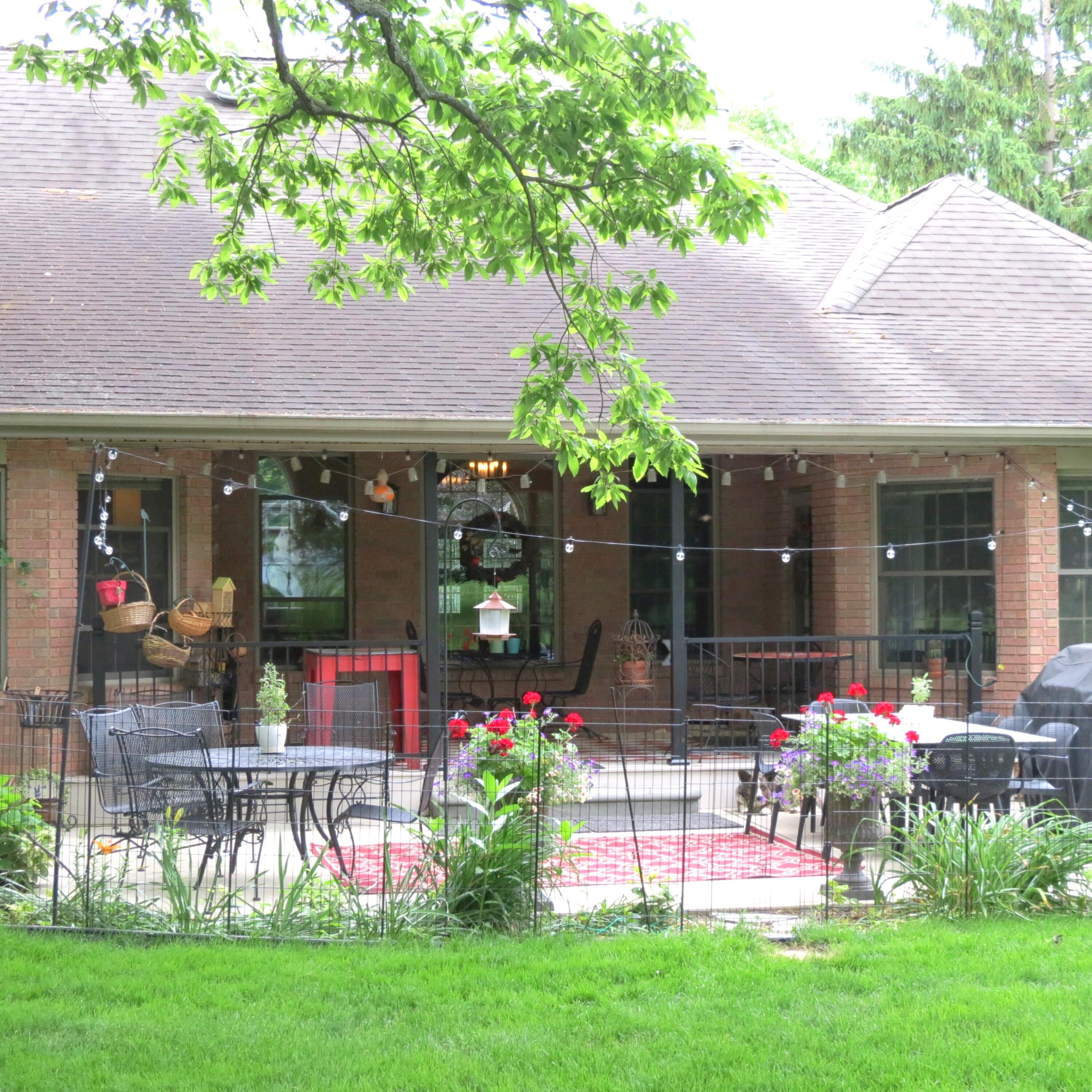10900 Scott Road Property Photo 45