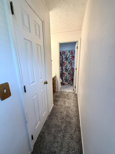 877 Trails End Drive Property Photo 26