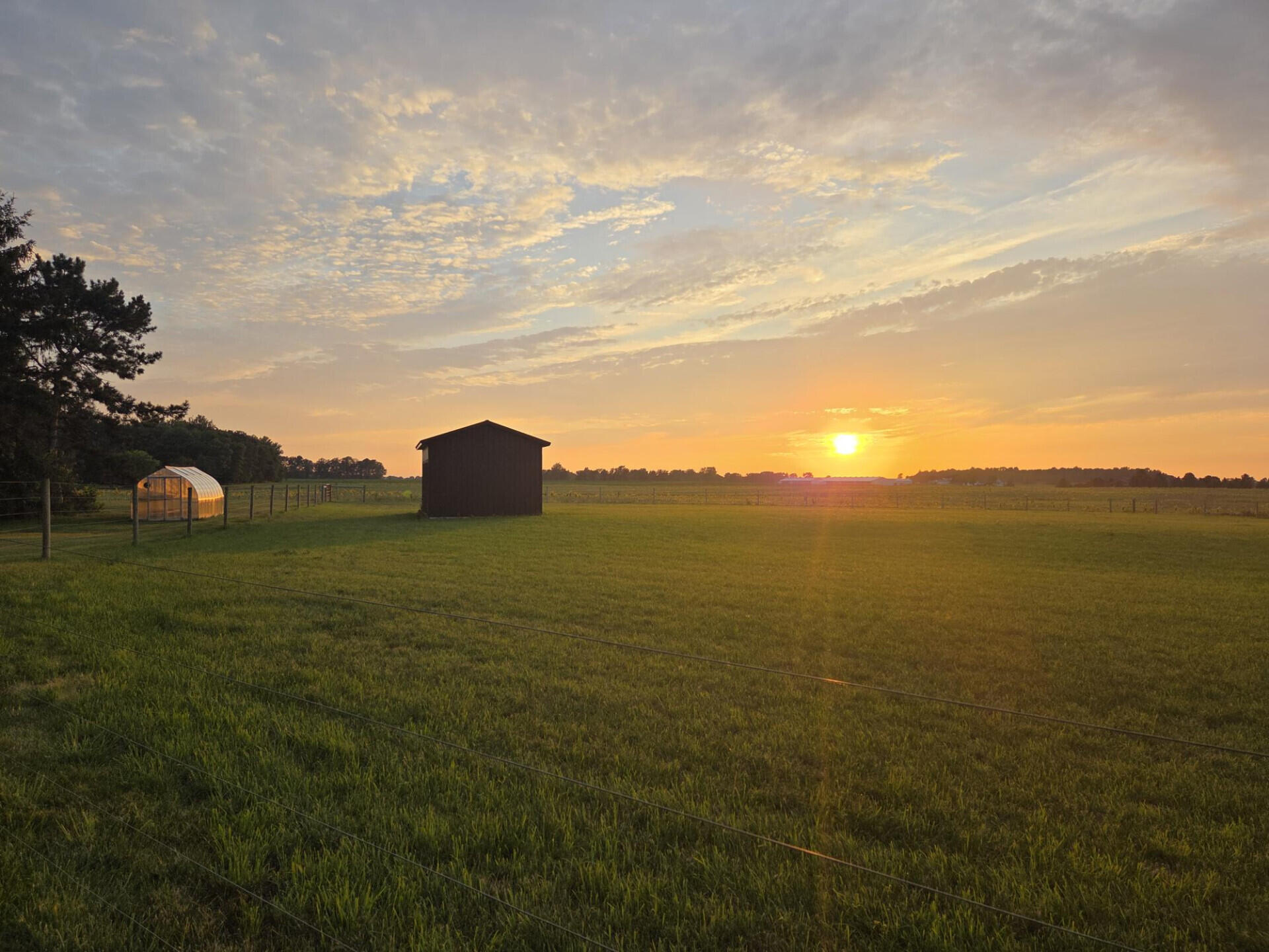 10641 Ohio 29 Property Photo 22