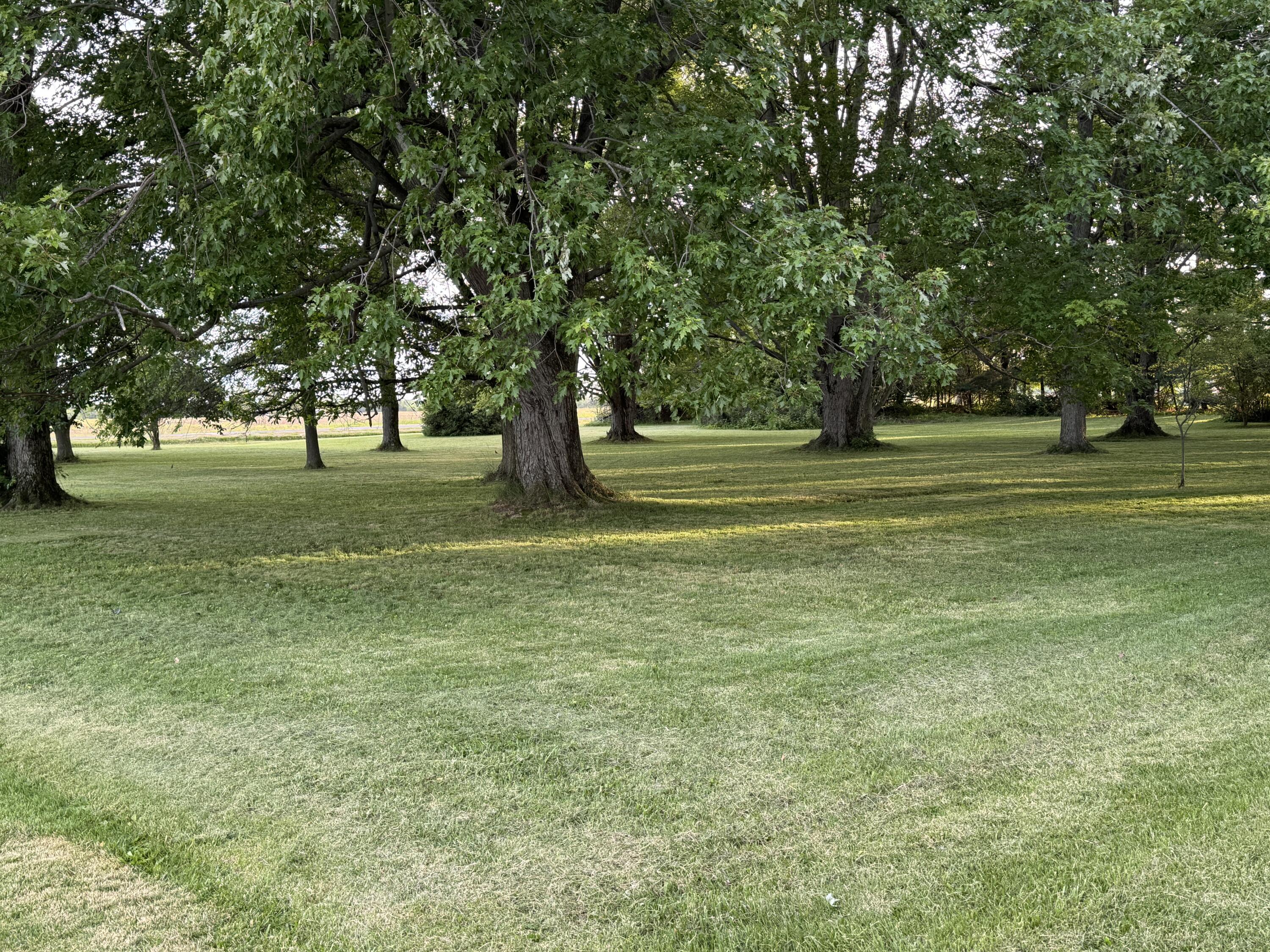 12029 Dutton Road Property Photo 3