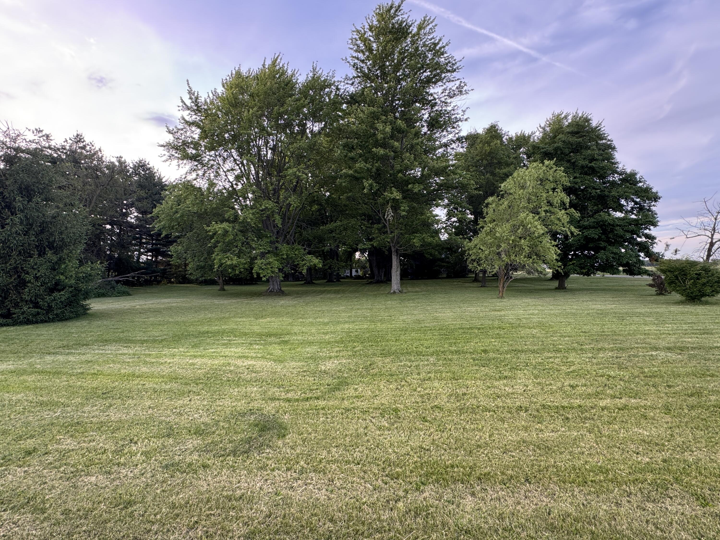 12029 Dutton Road Property Photo 5