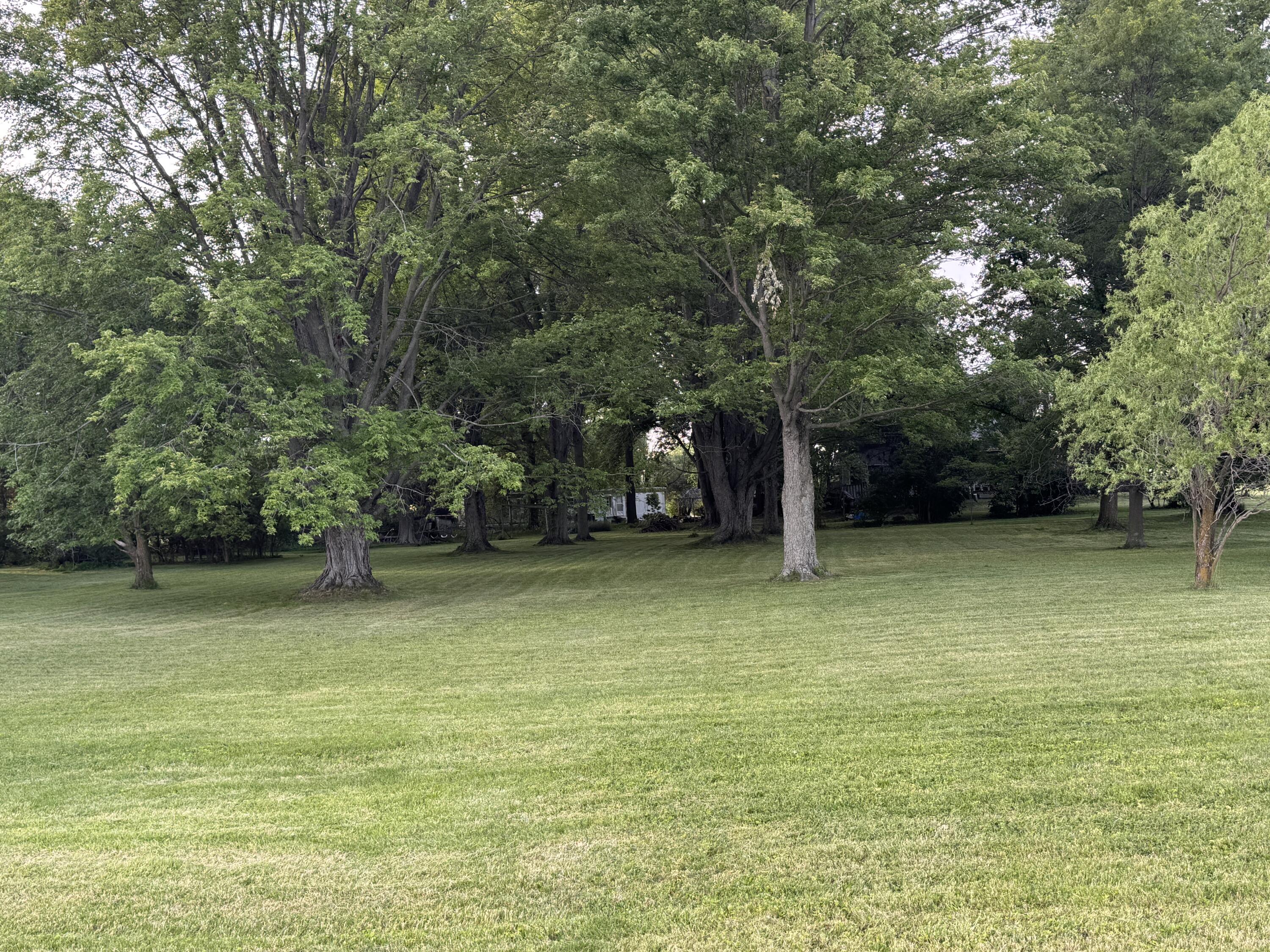 12029 Dutton Road Property Photo 6