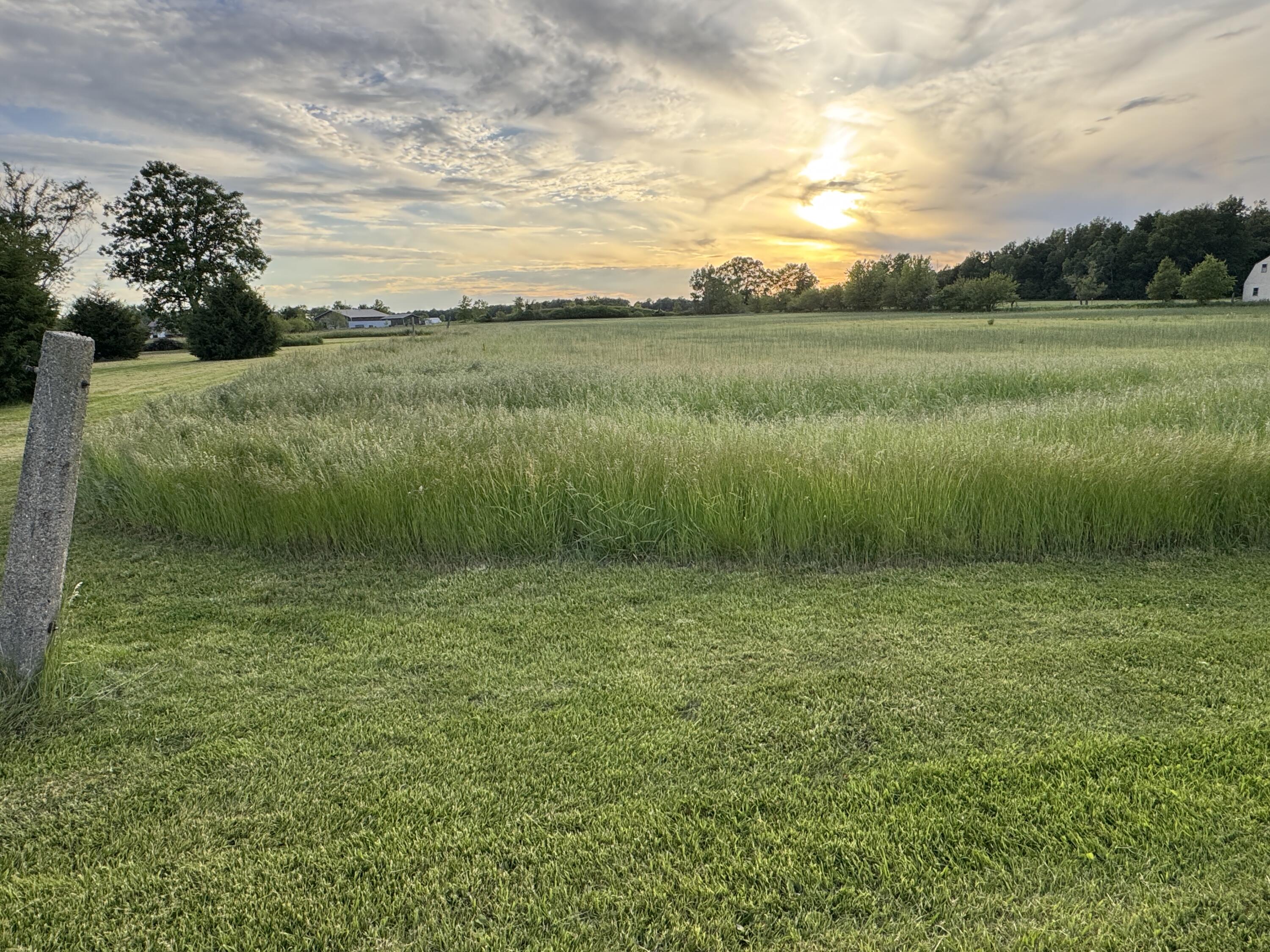 12029 Dutton Road Property Photo 11