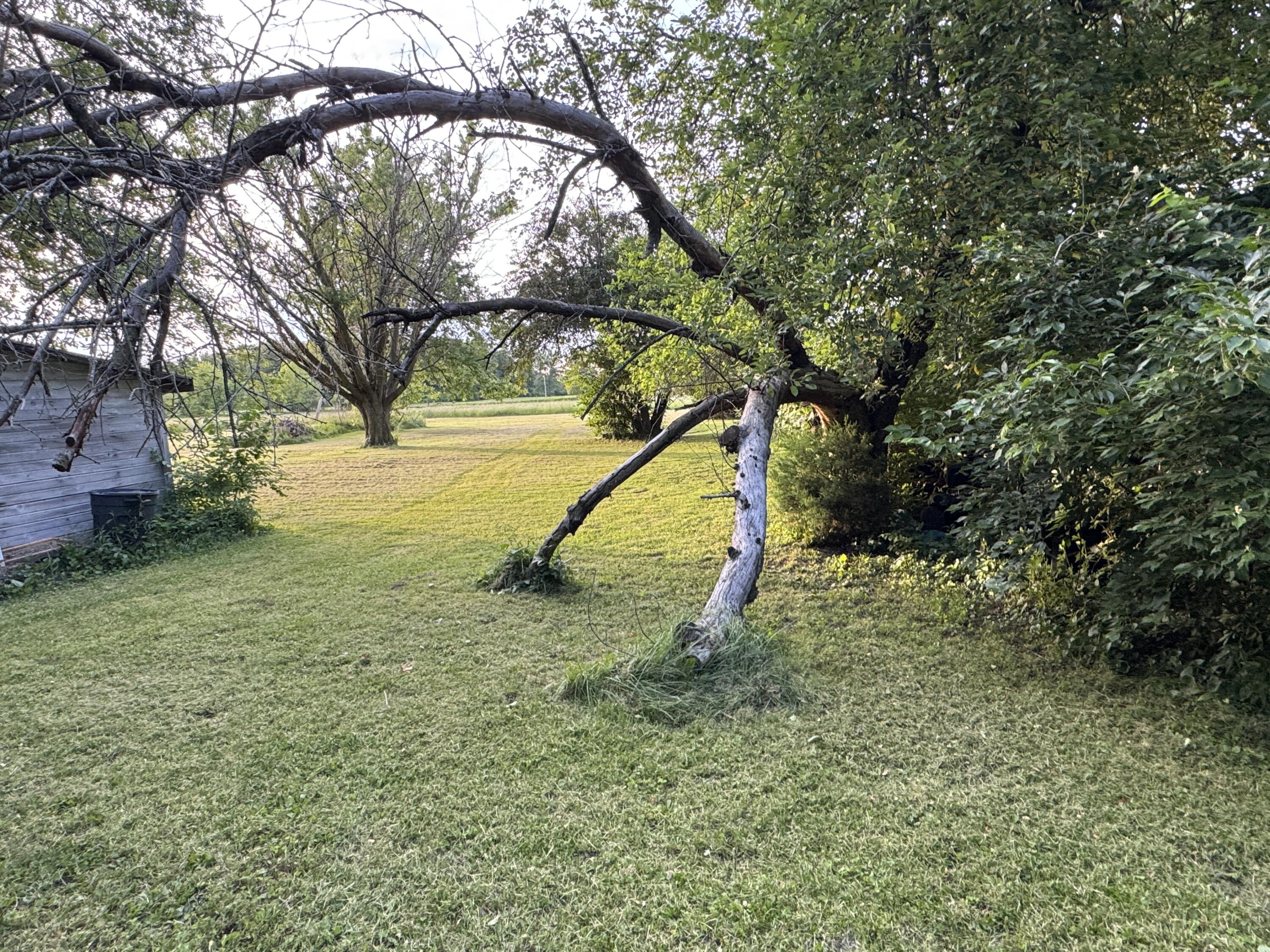 12029 Dutton Road Property Photo 17
