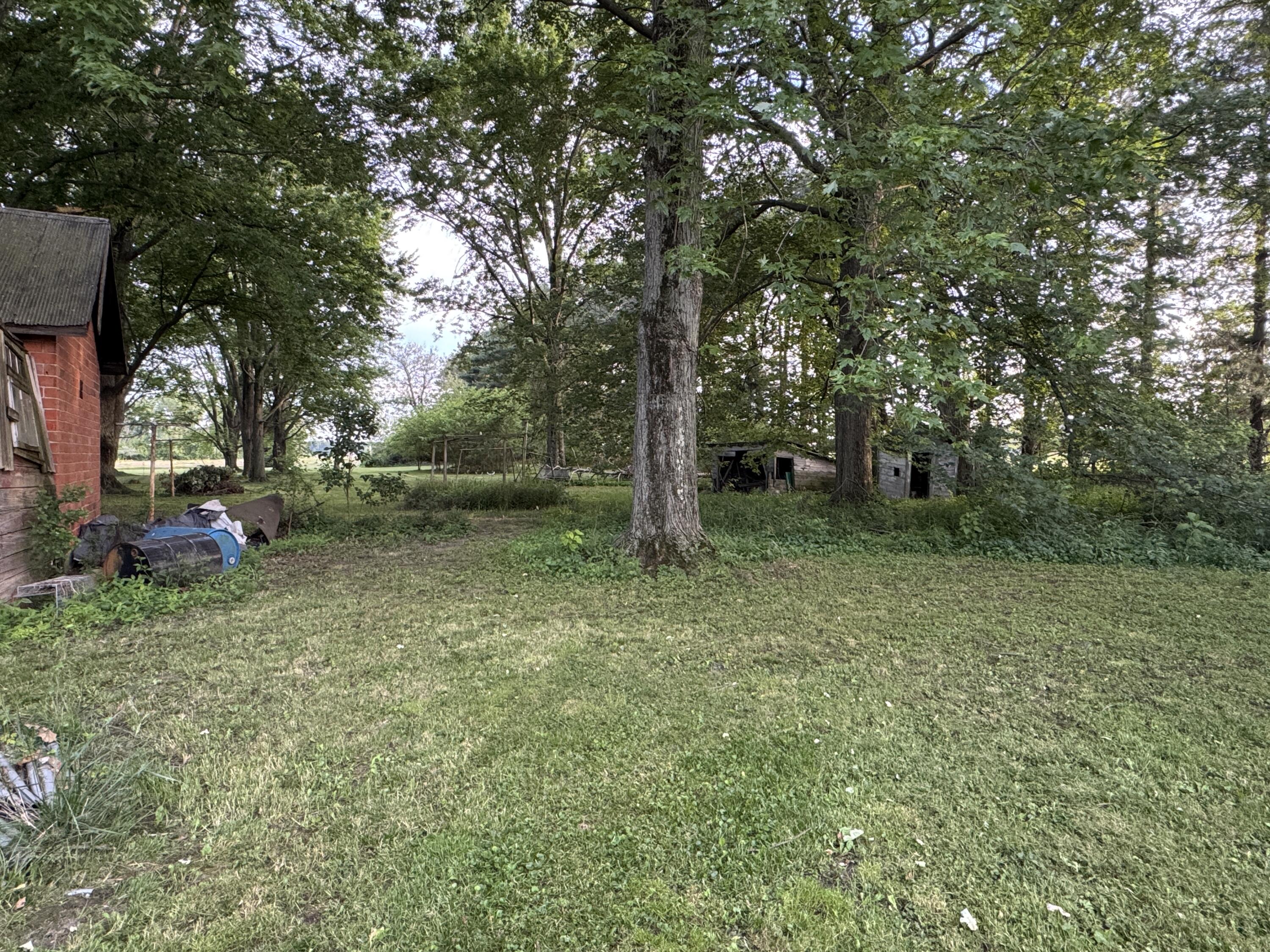 12029 Dutton Road Property Photo 19