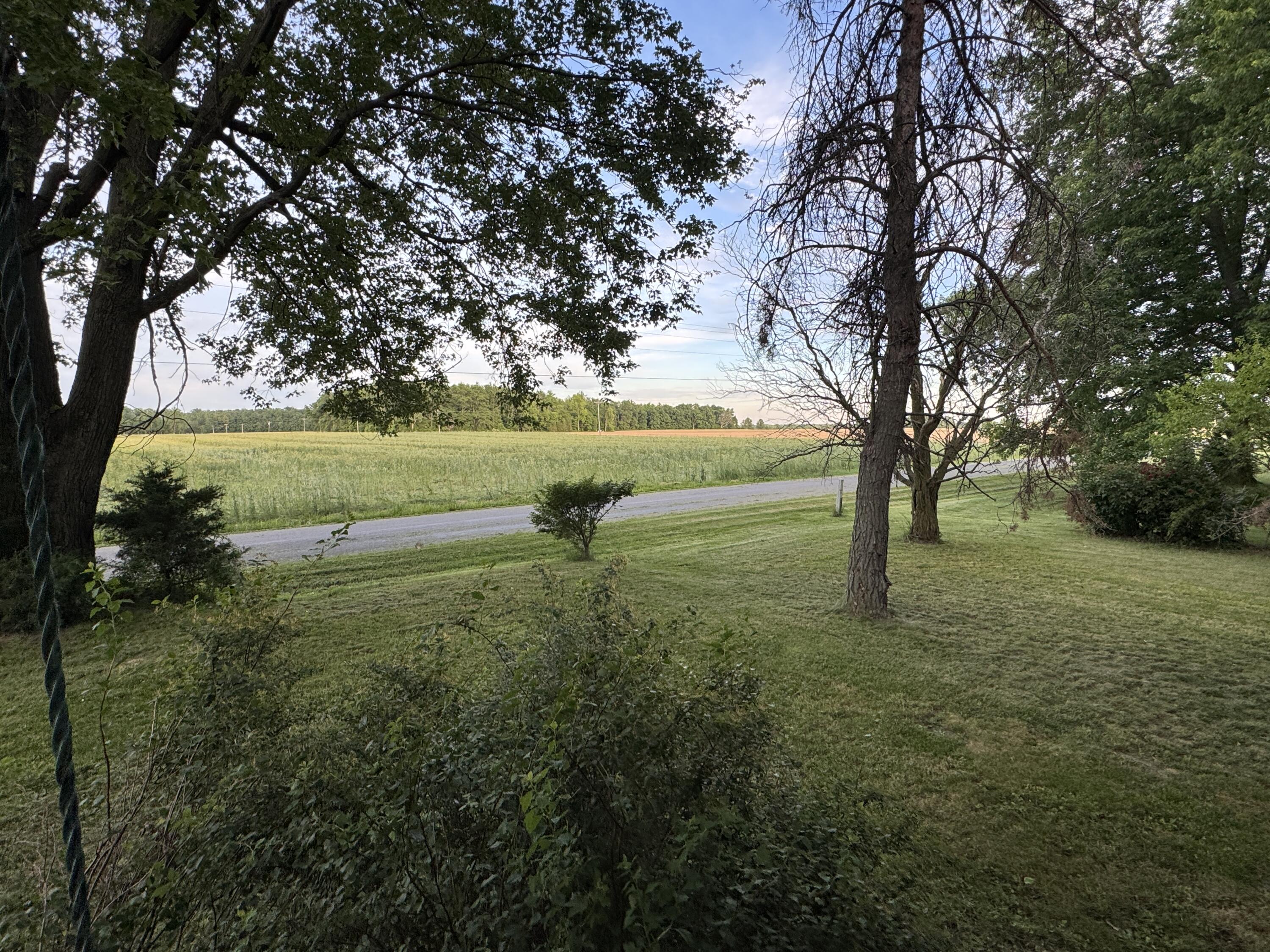 12029 Dutton Road Property Photo 23