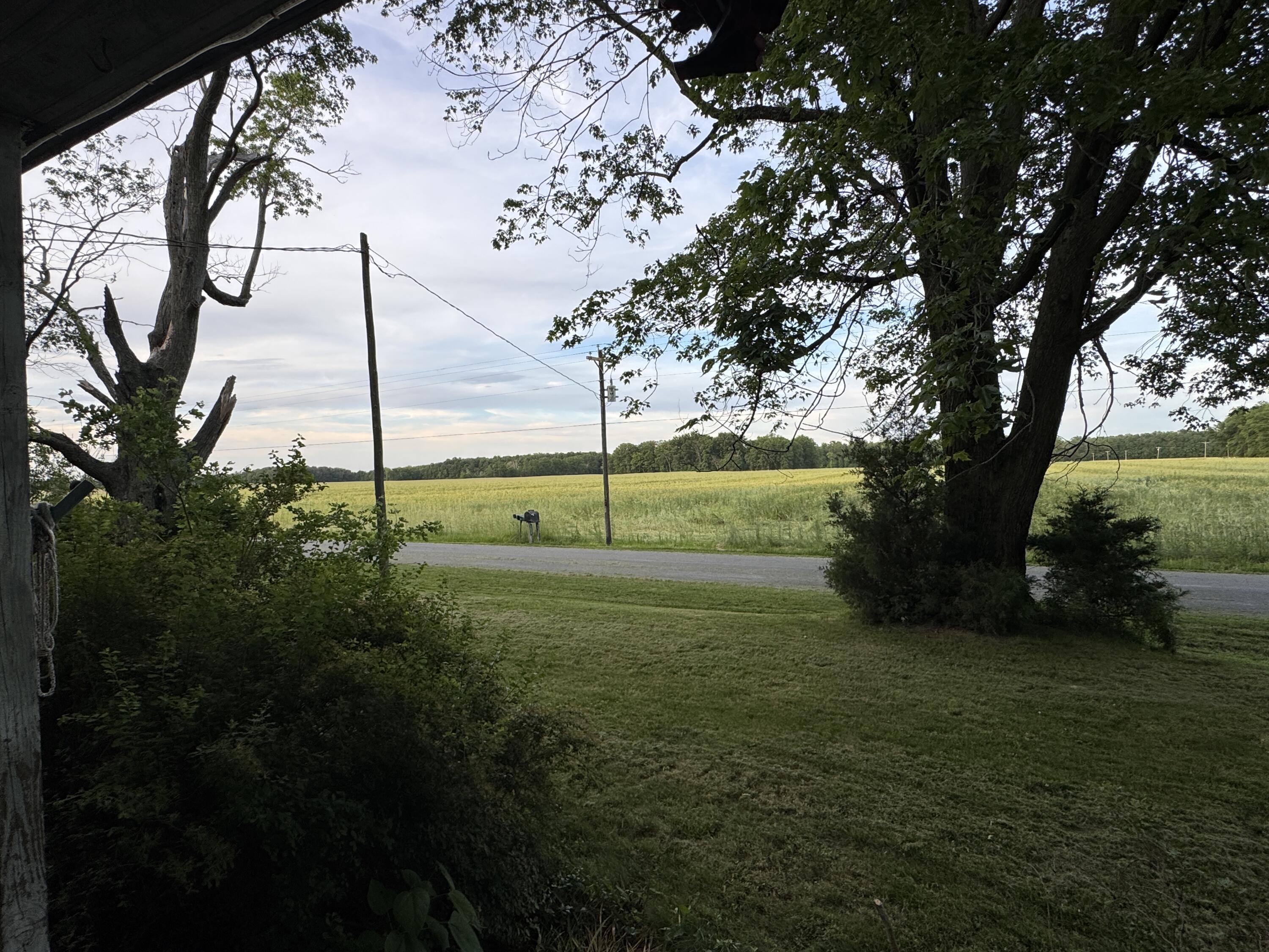 12029 Dutton Road Property Photo 24