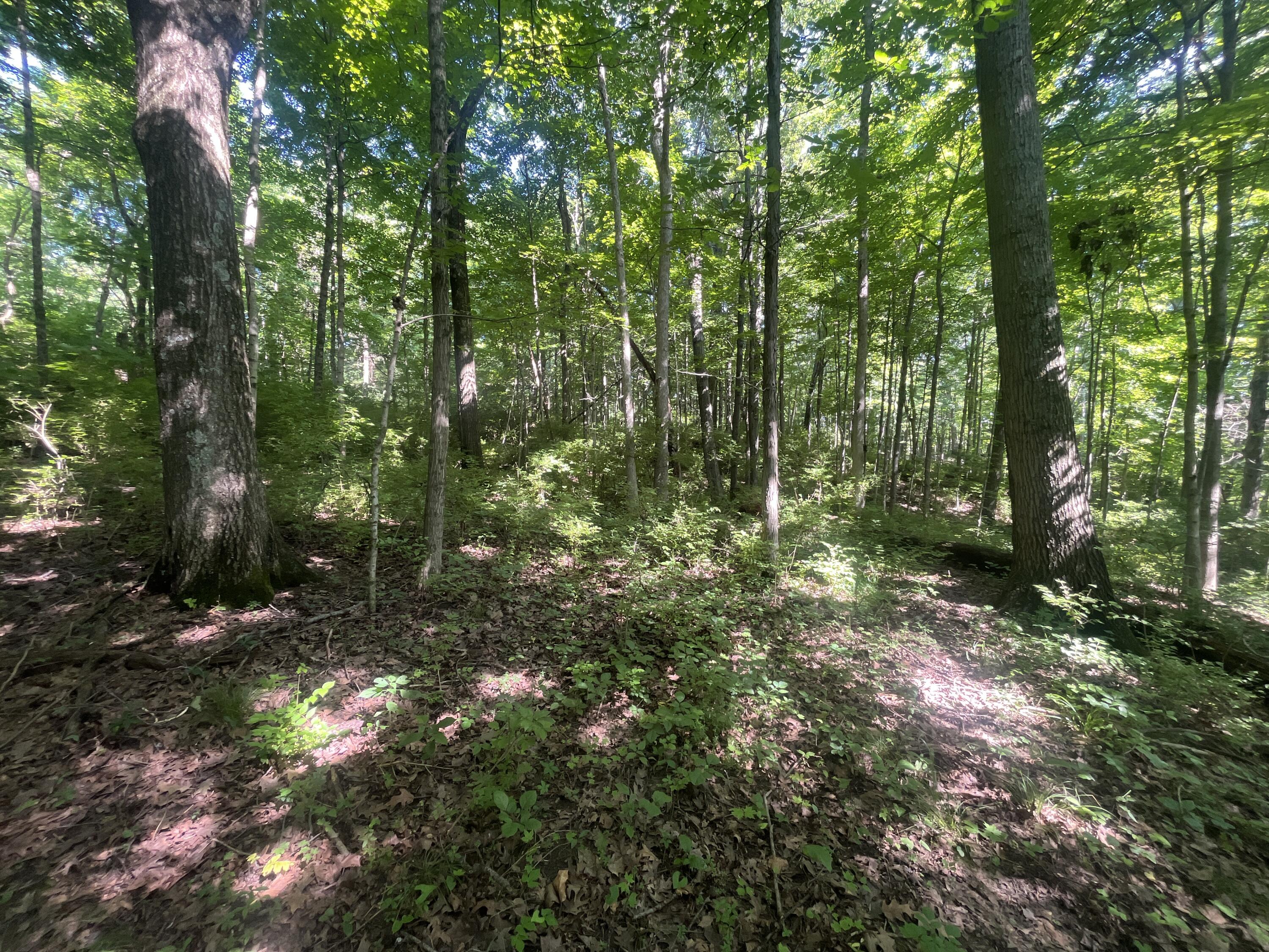 0 Stephen Young Property Photo 21