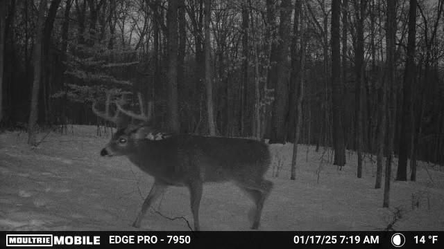 0 Stephen Young Property Photo 59