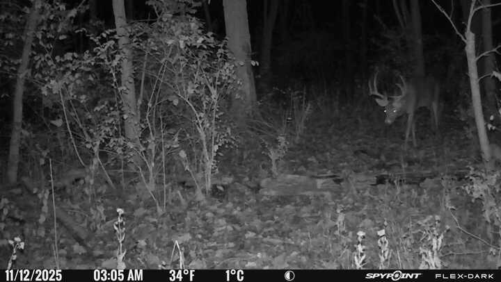 0 Stephen Young Property Photo 61