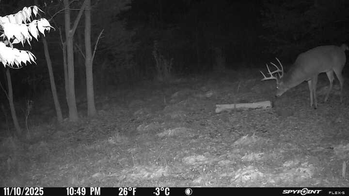 0 Stephen Young Property Photo 63