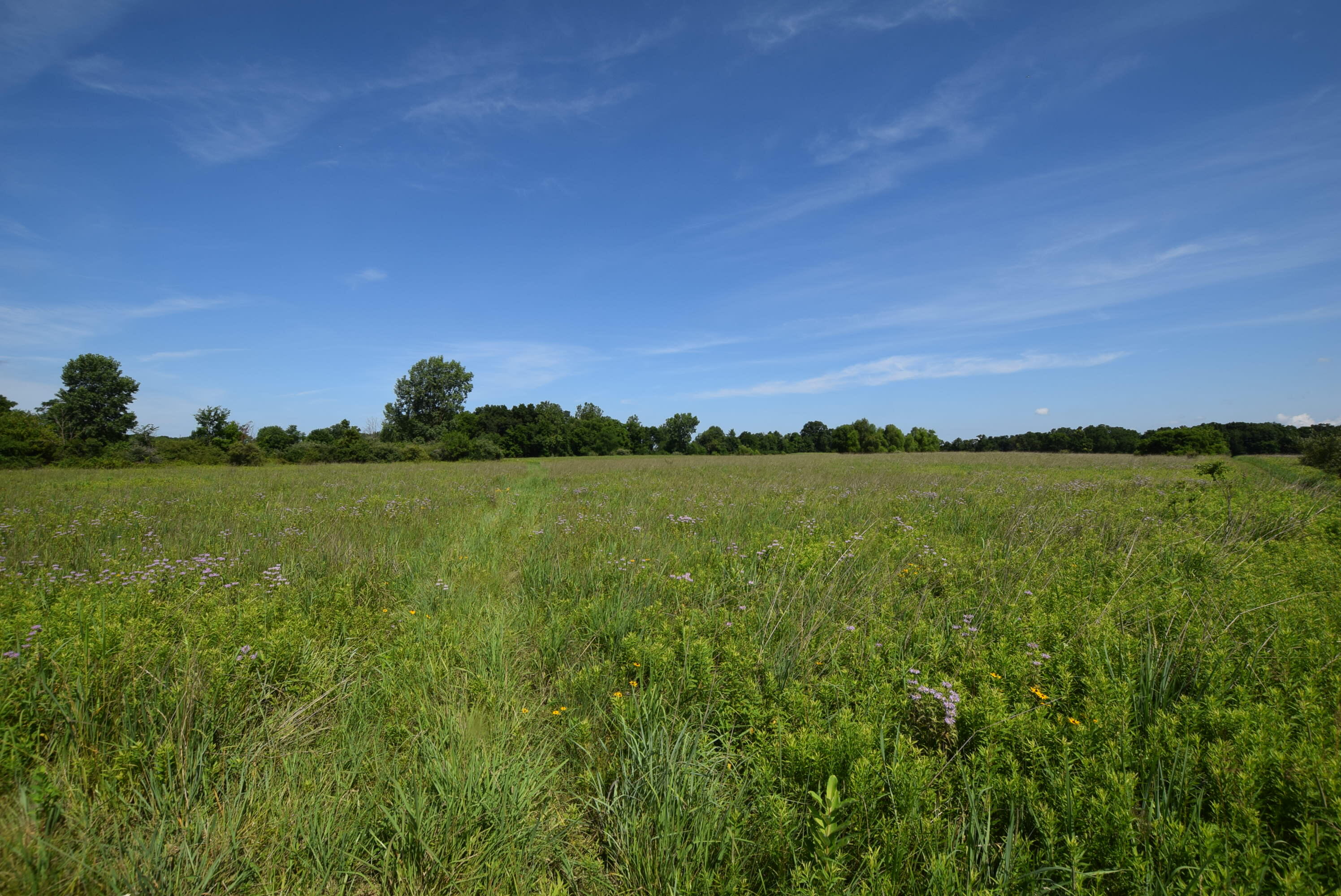 0 Millerstown Road Property Photo 1