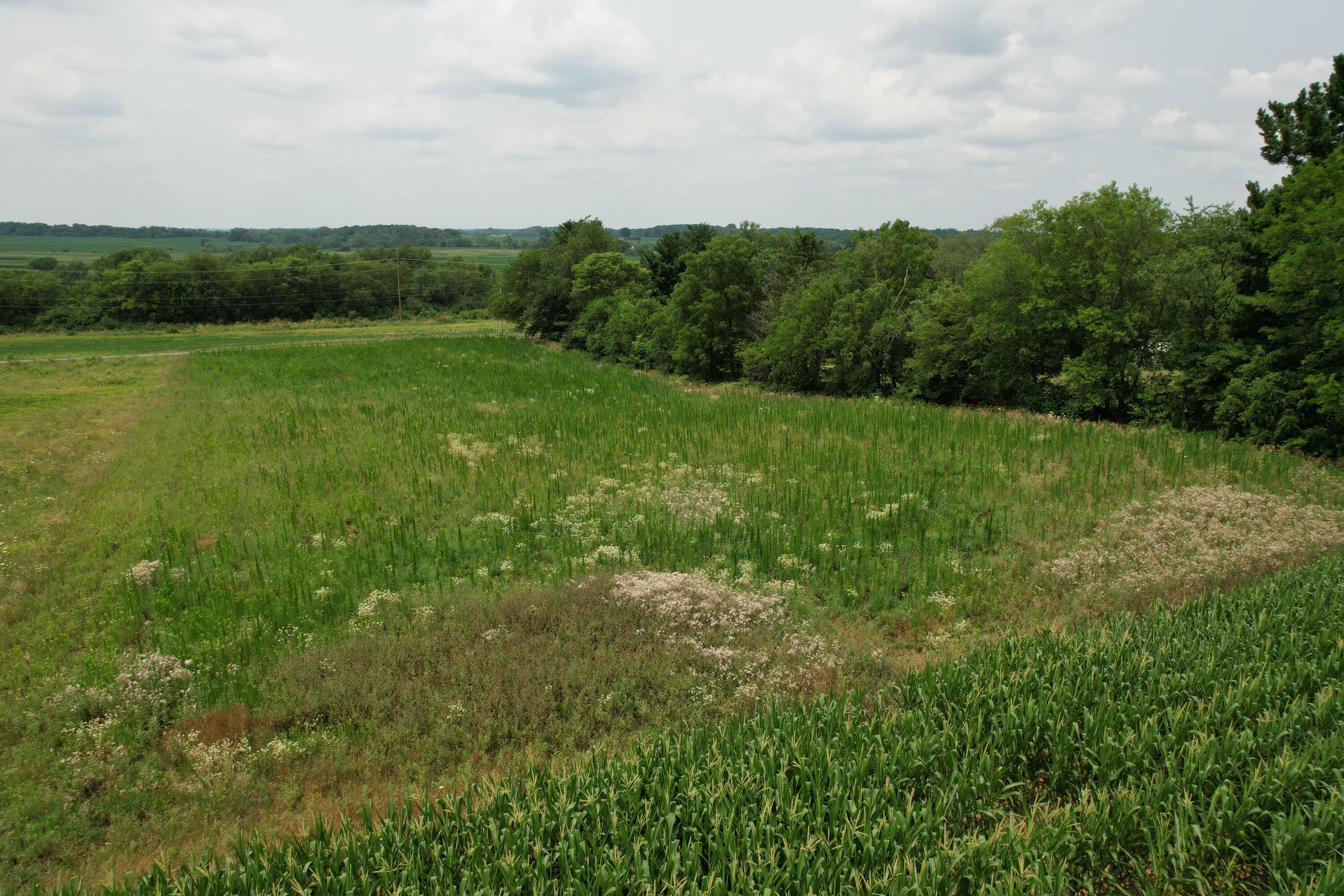 . Township Rd 188 Property Photo 3