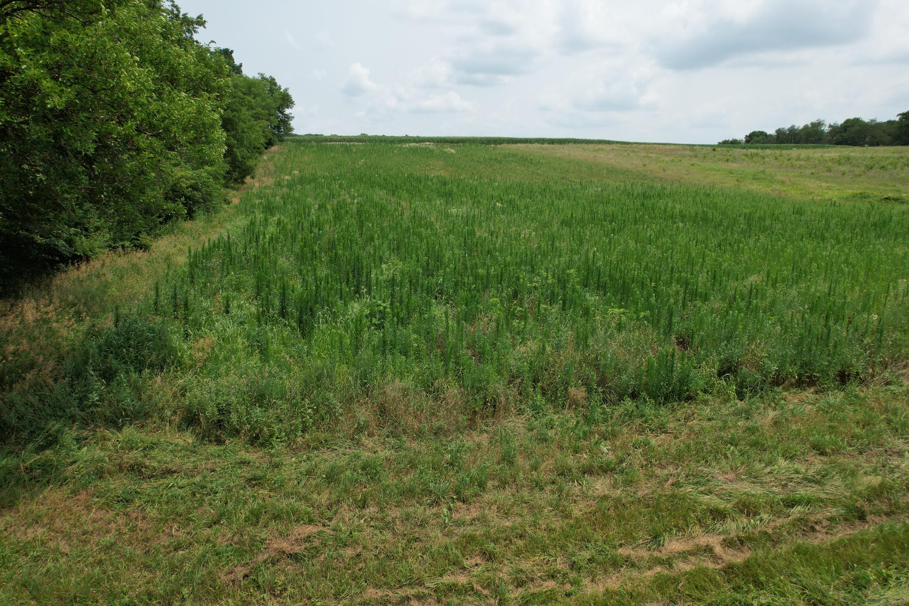 . Township Rd 188 Property Photo 5
