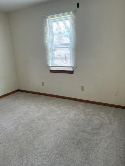 1113 Patterson Road Property Photo 17