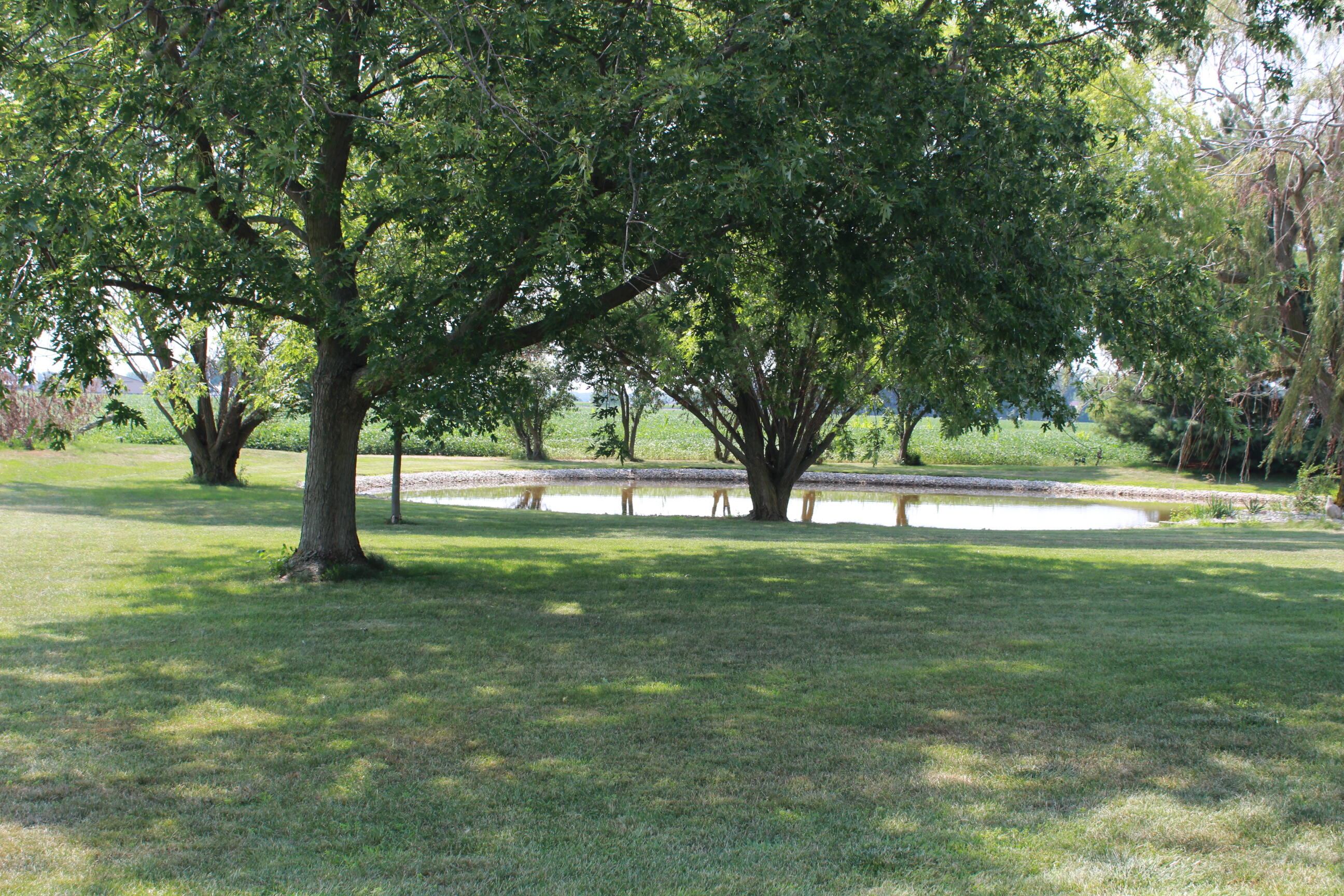 7791 Weitz Road Property Photo 66