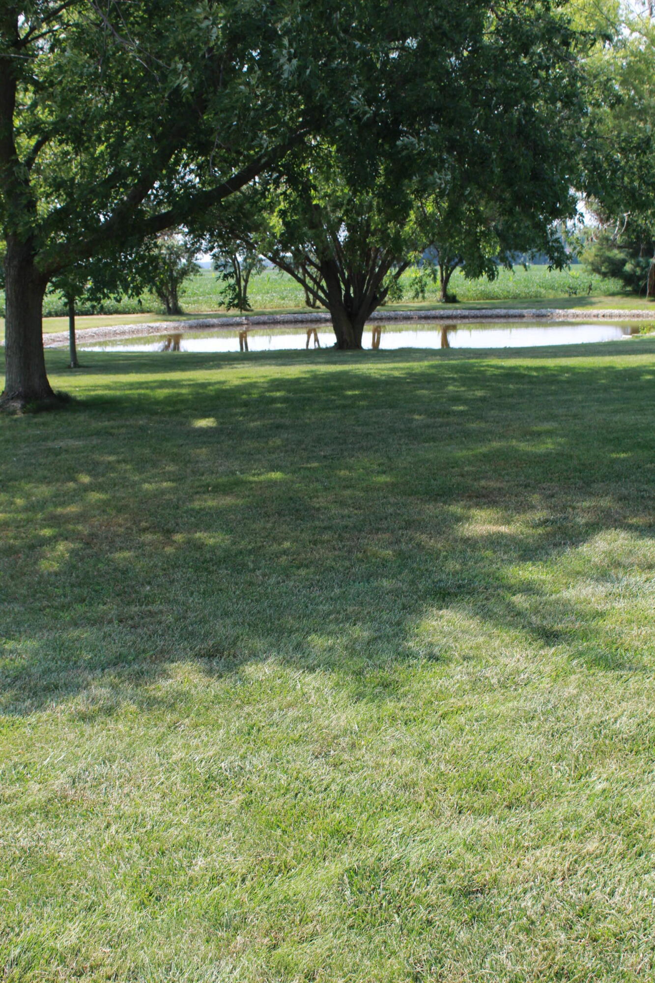 7791 Weitz Road Property Photo 67