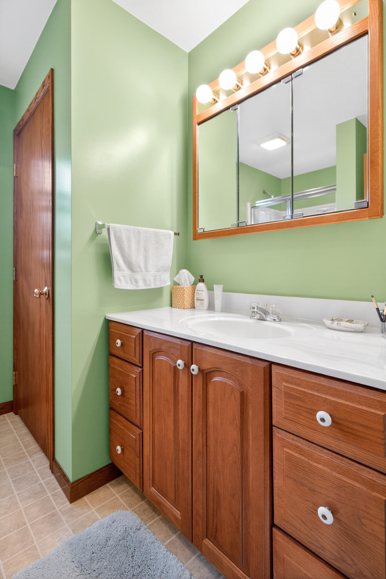 551 Foxcross Drive Property Photo 20