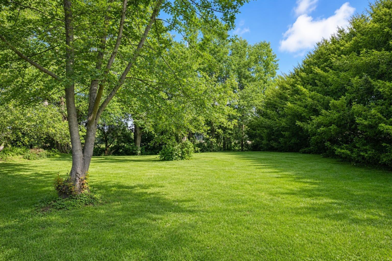 2466 E State Route 245 Property Photo 61